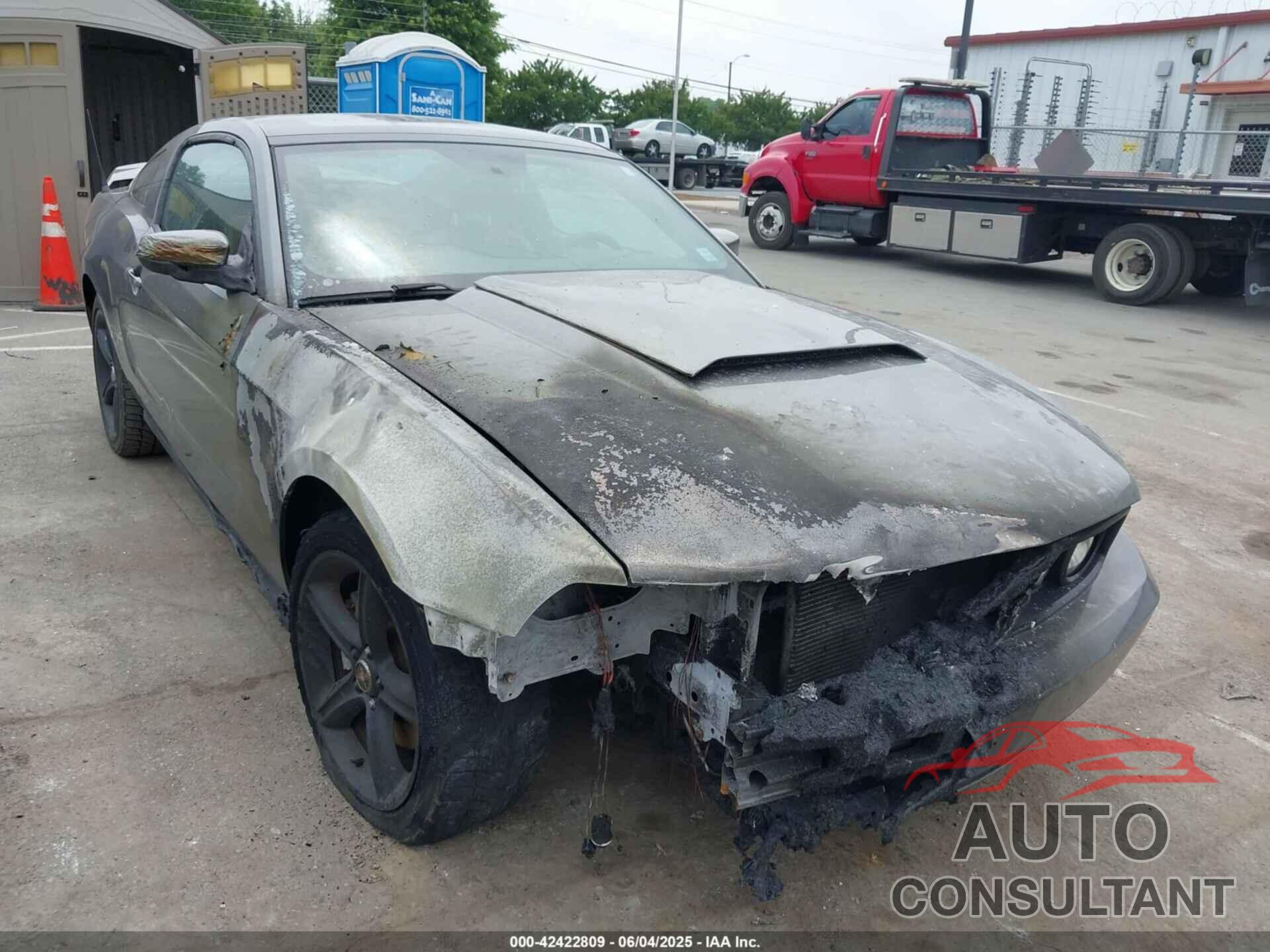FORD MUSTANG 2011 - 1ZVBP8CF1B5167120
