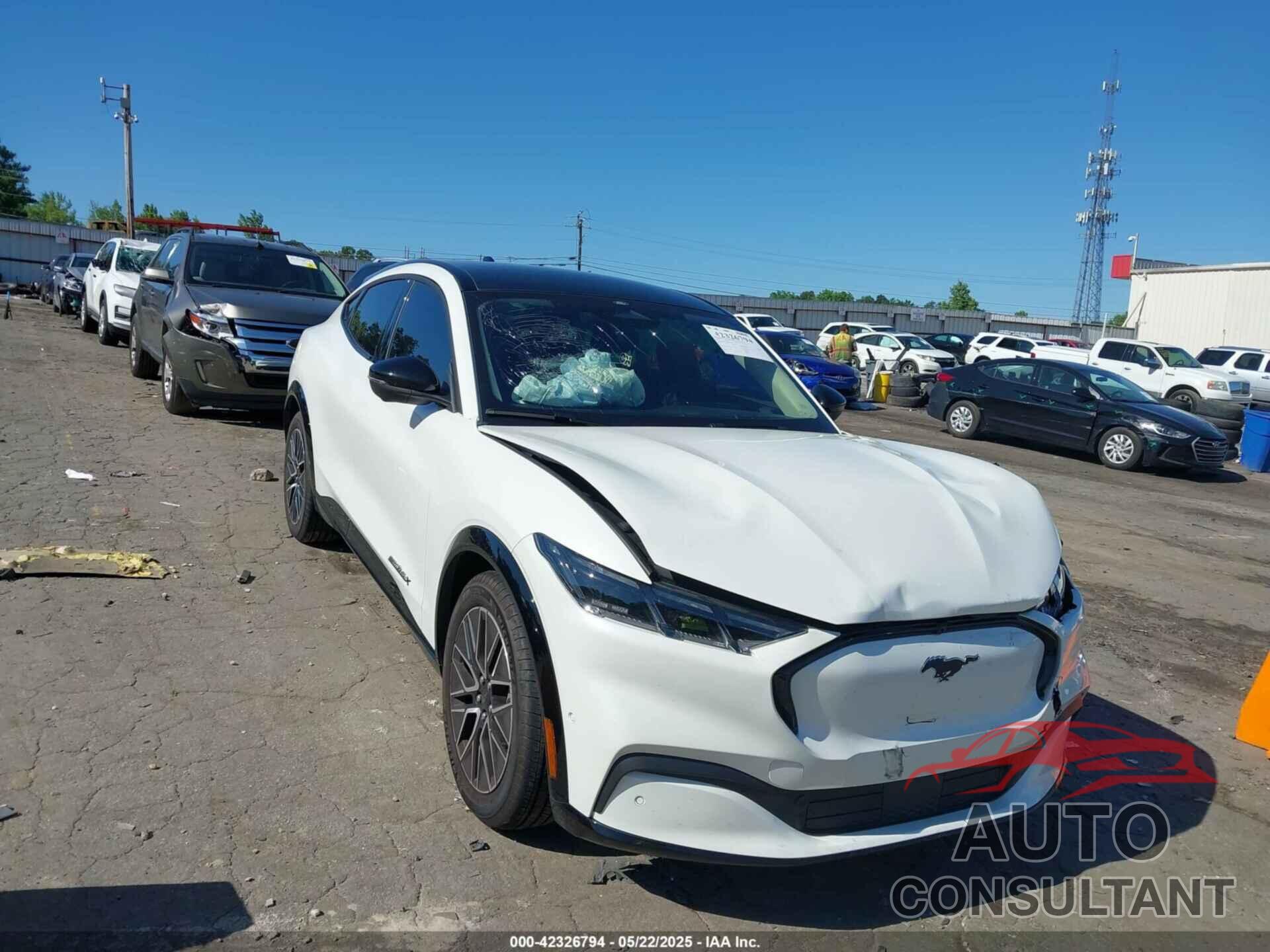 FORD MUSTANG MACH-E 2024 - 3FMTK3SU3RMA36196