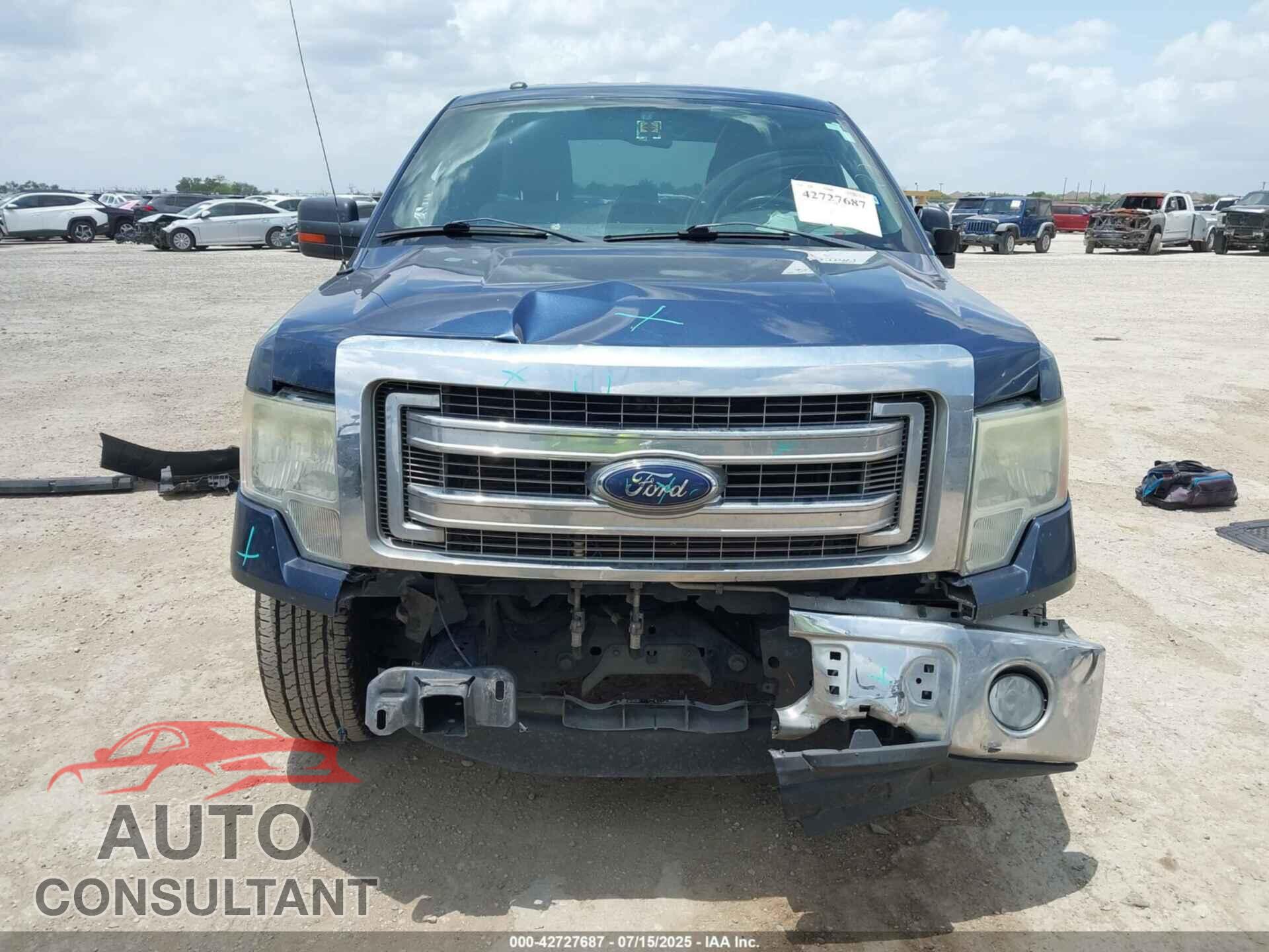FORD F-150 2013 - 1FTFX1CFXDFA66960