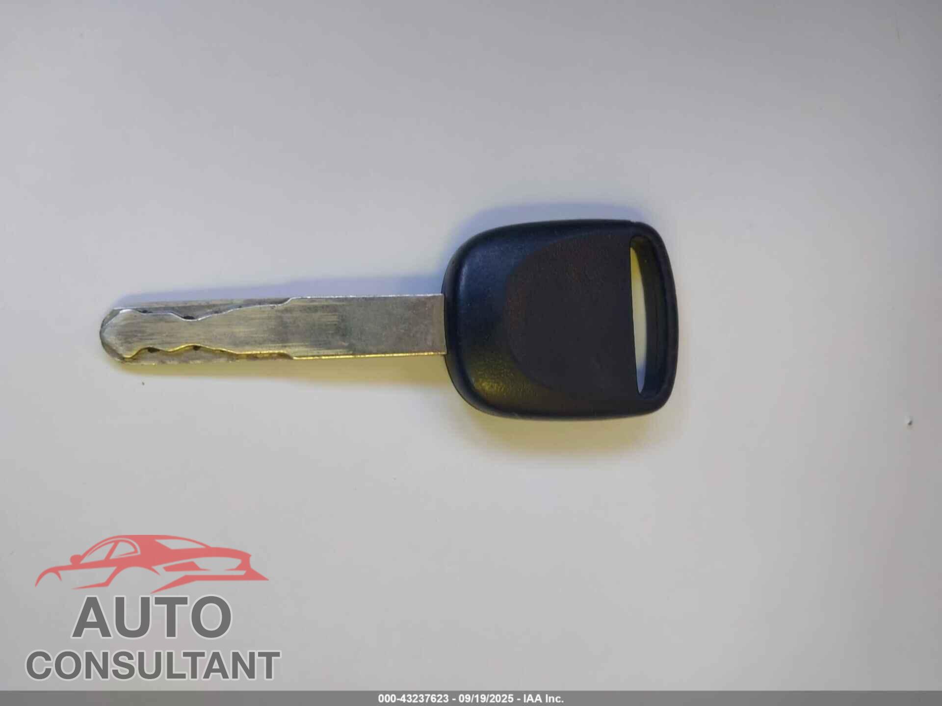 HONDA ELEMENT 2011 - 5J6YH2H79BL002012
