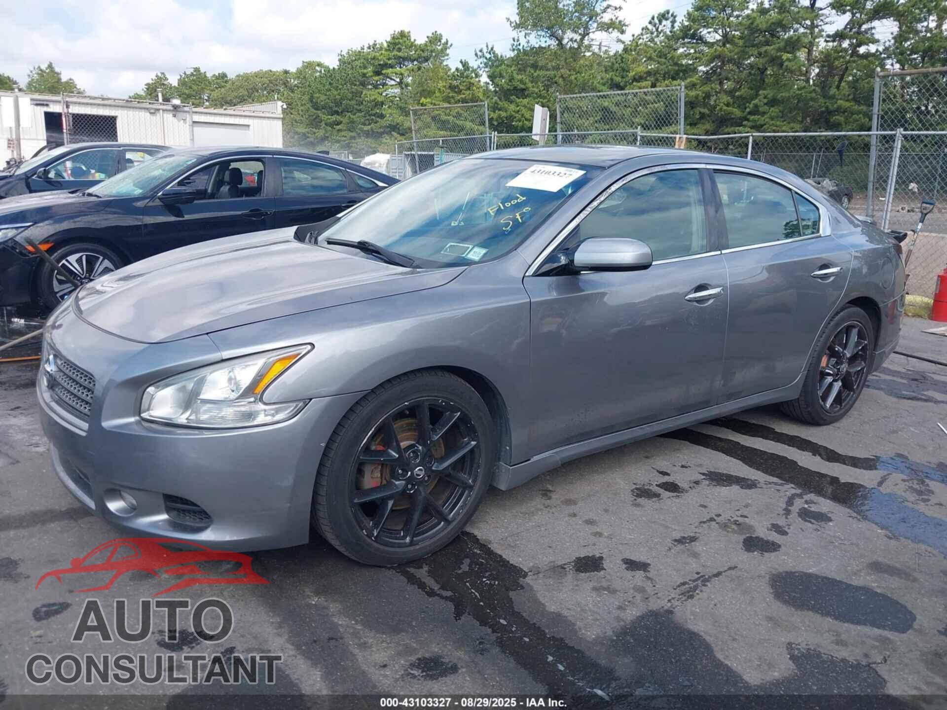 NISSAN MAXIMA 2009 - 1N4AA51E79C857281