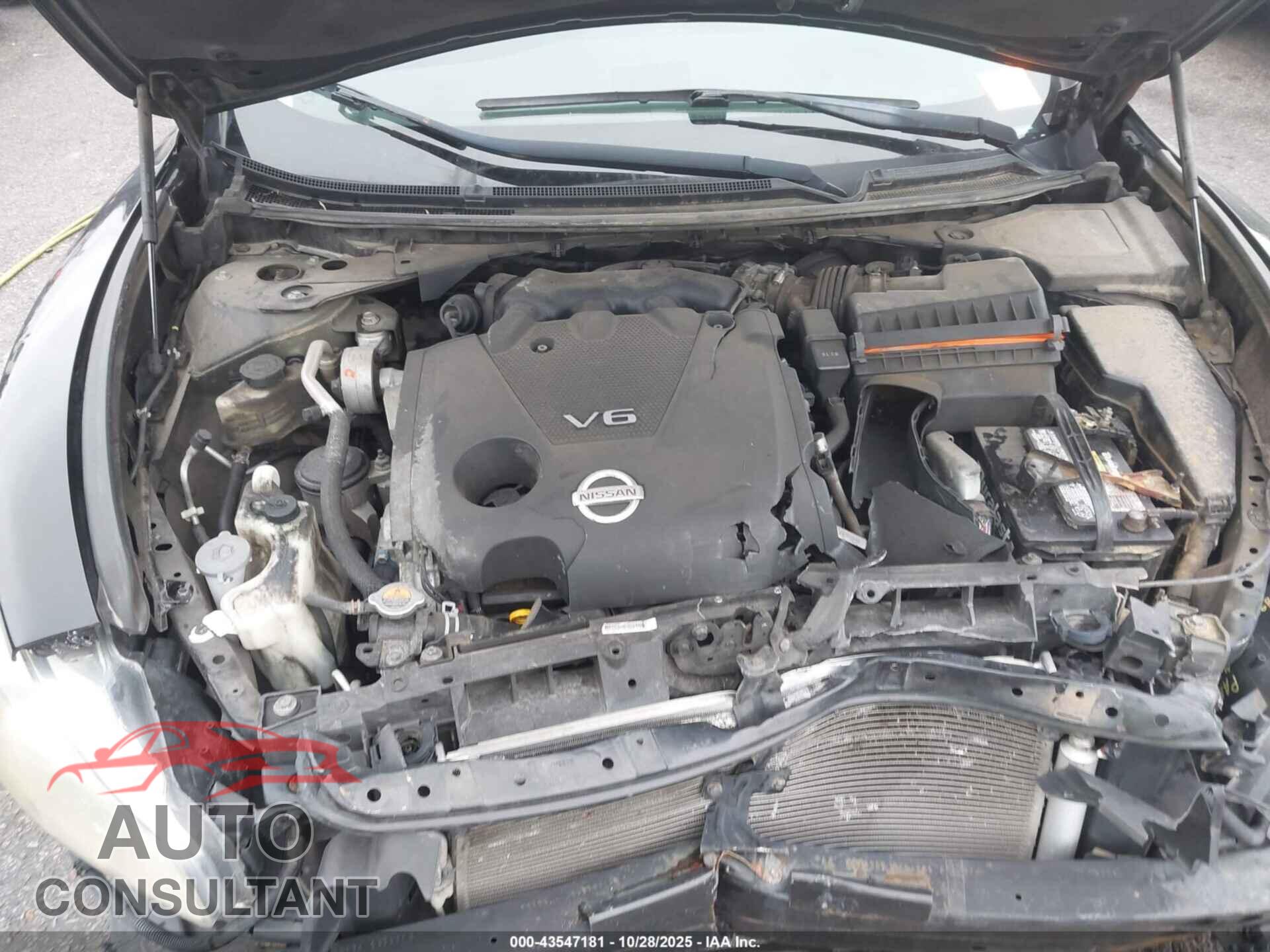NISSAN MAXIMA 2010 - 1N4AA5AP5AC856678