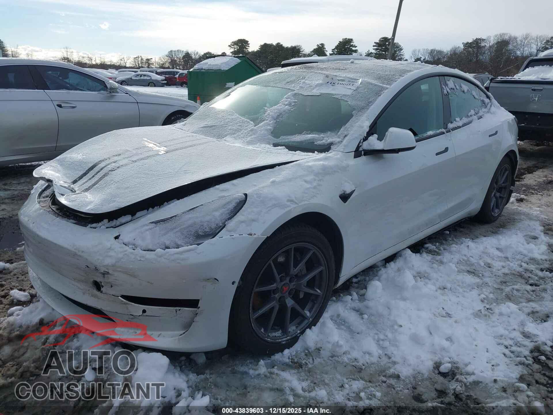 TESLA MODEL 3 2021 - 5YJ3E1EA7MF855078