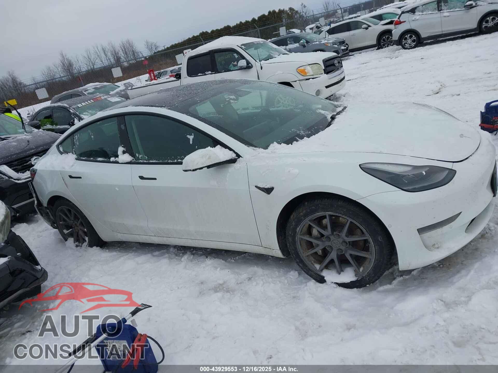 TESLA MODEL 3 2021 - 5YJ3E1EA3MF906222