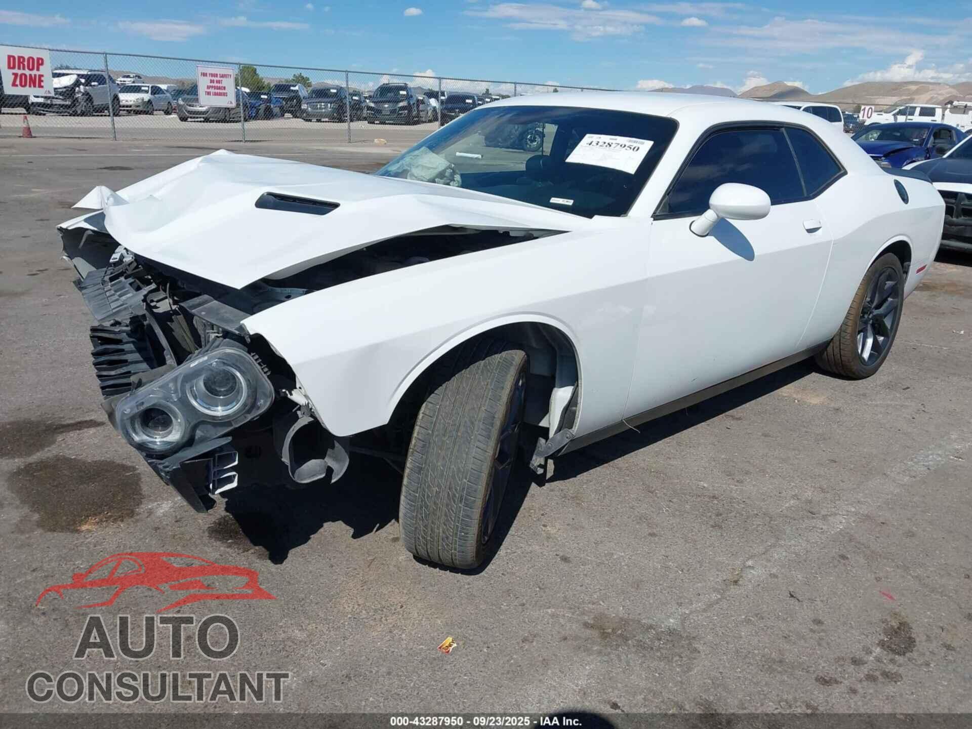DODGE CHALLENGER 2019 - 2C3CDZAG9KH538412