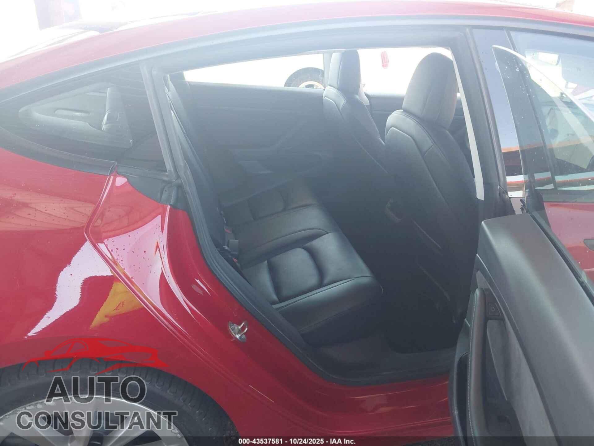 TESLA MODEL 3 2021 - 5YJ3E1EA1MF913444