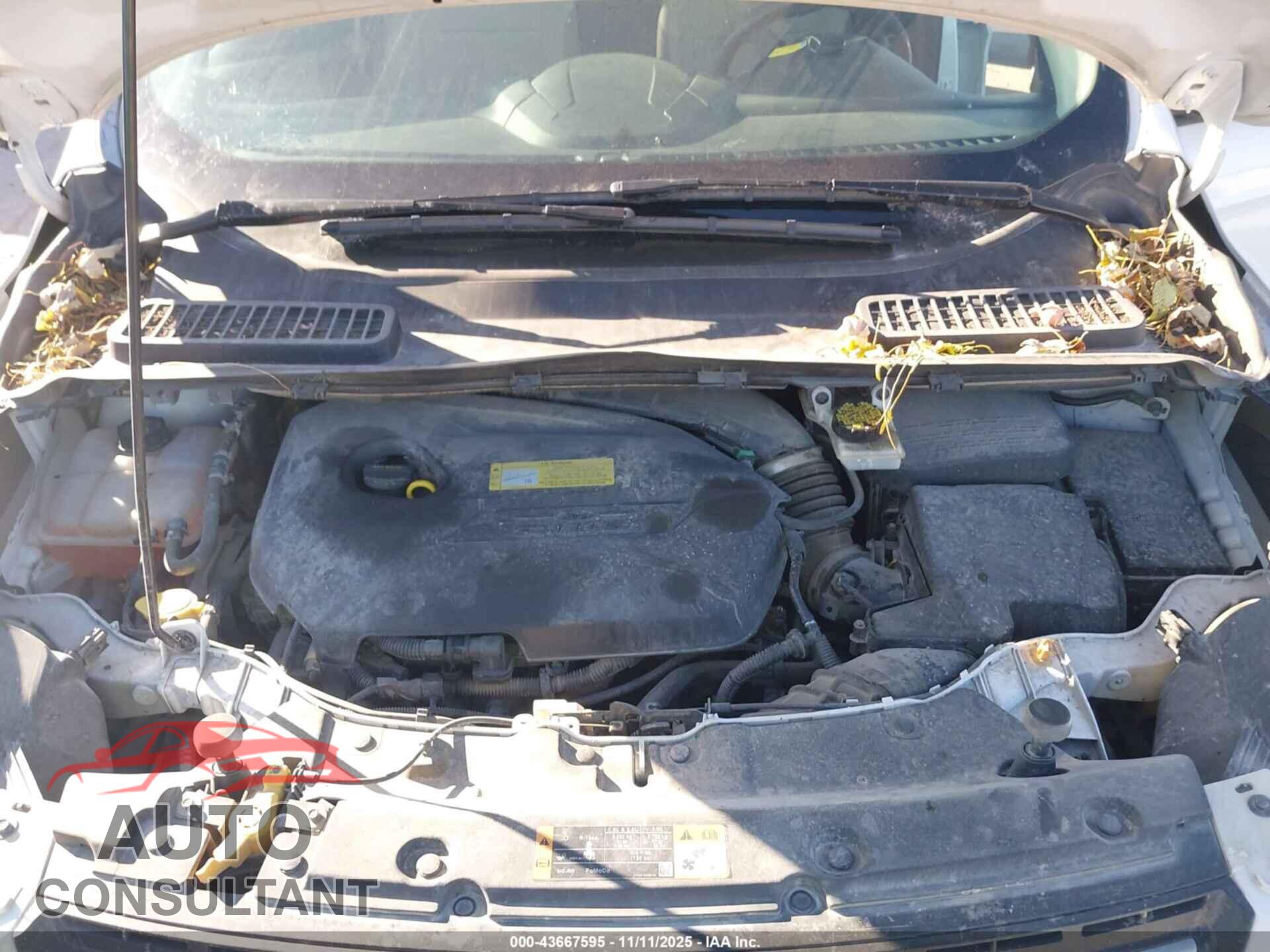 FORD ESCAPE 2014 - 1FMCU9GX4EUB84850