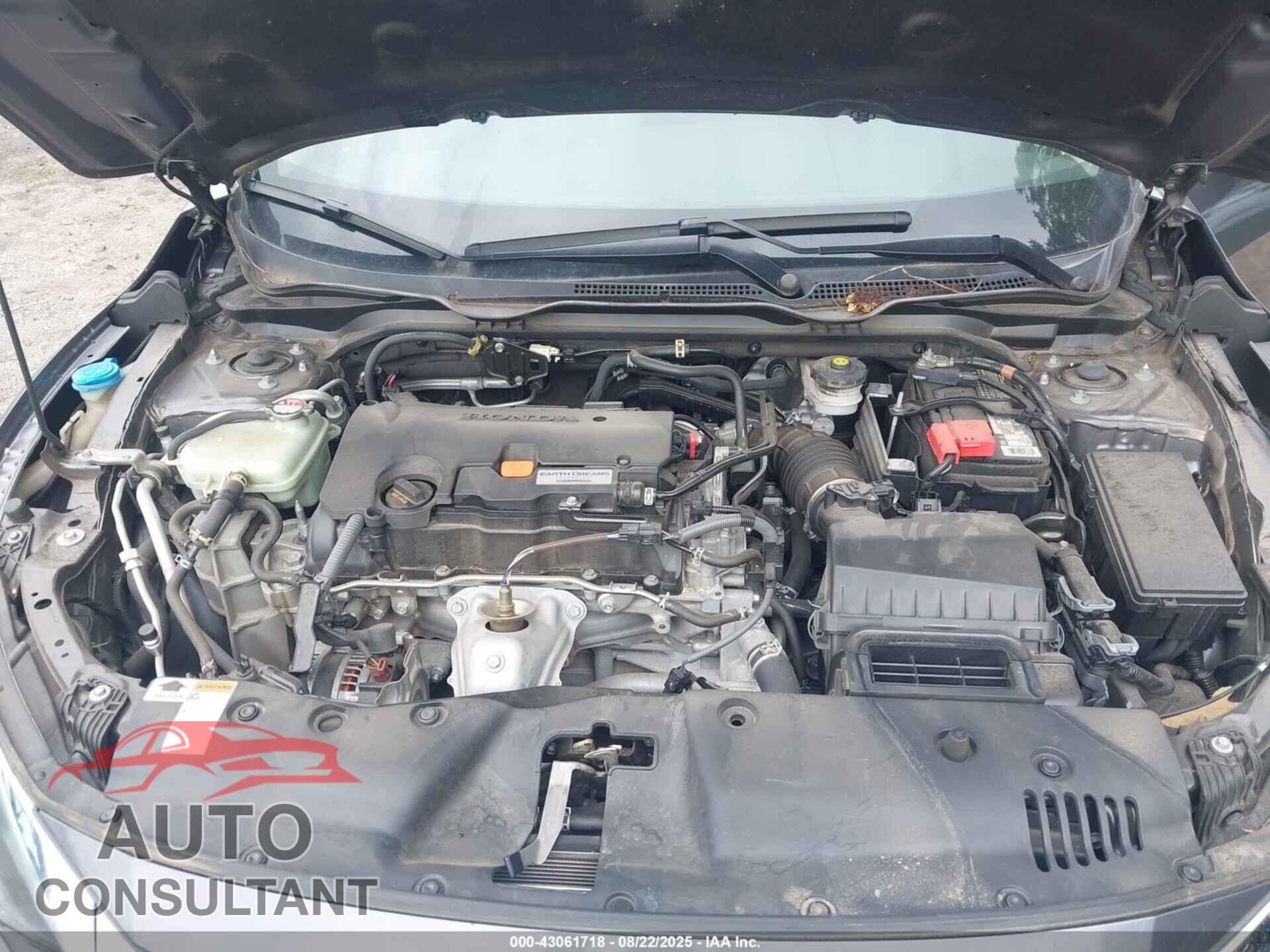HONDA CIVIC 2017 - 19XFC2F71HE067985
