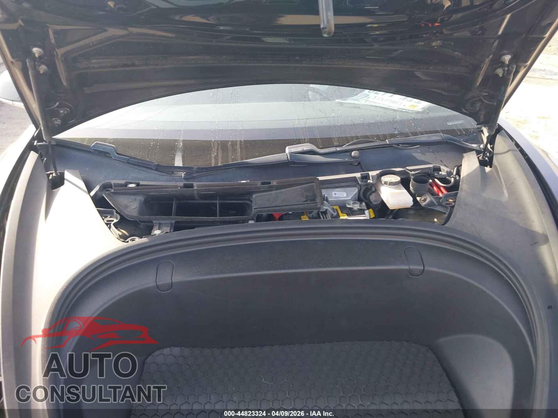 TESLA MODEL 3 2019 - 5YJ3E1EB3KF384357