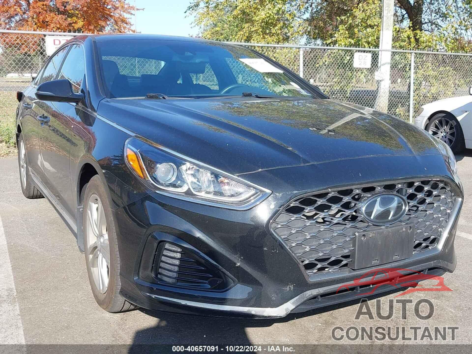 HYUNDAI SONATA 2019 - 5NPE34AF1KH803638