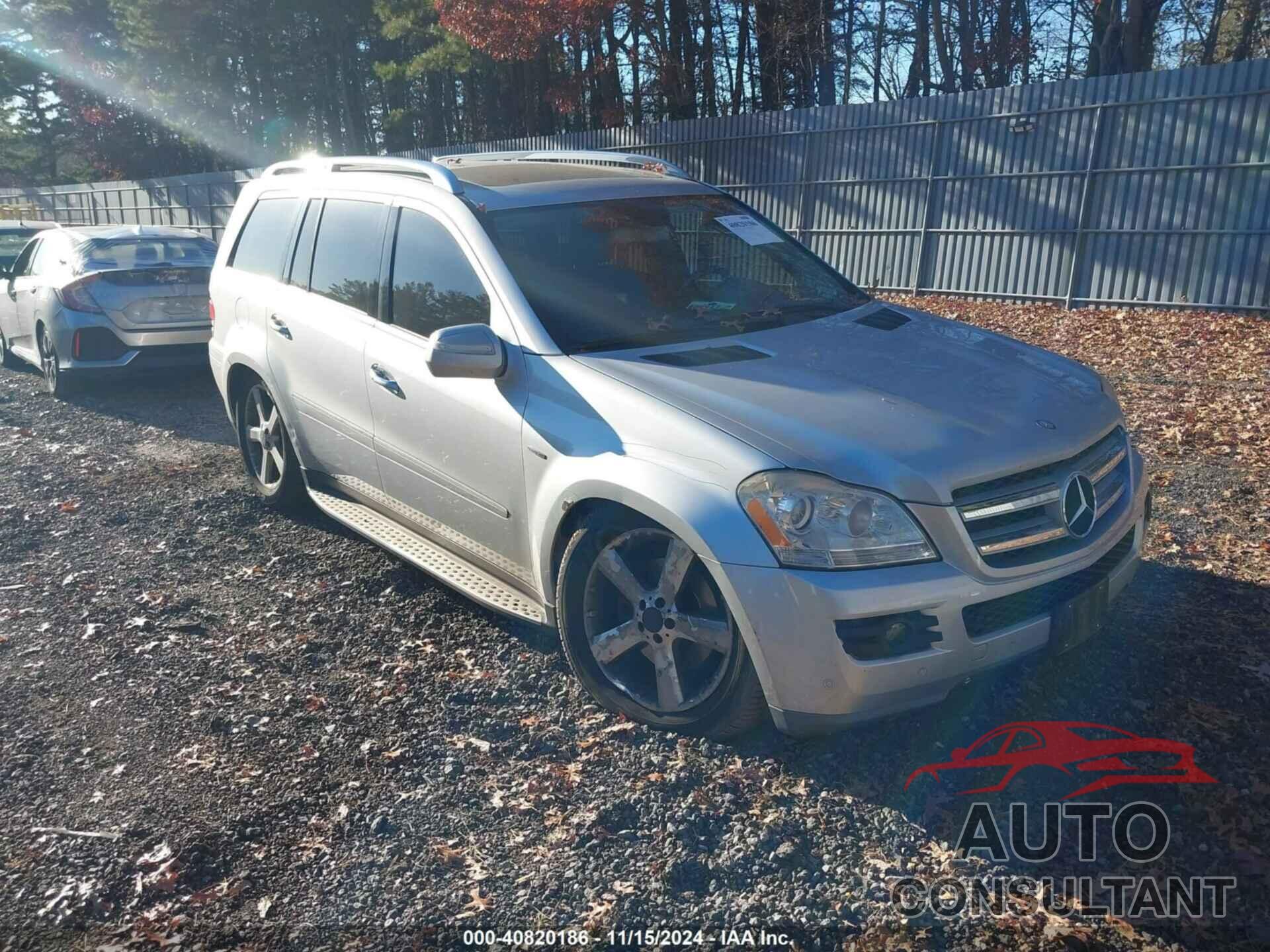 MERCEDES-BENZ GL 320 BLUETEC 2009 - 4JGBF25E89A495445