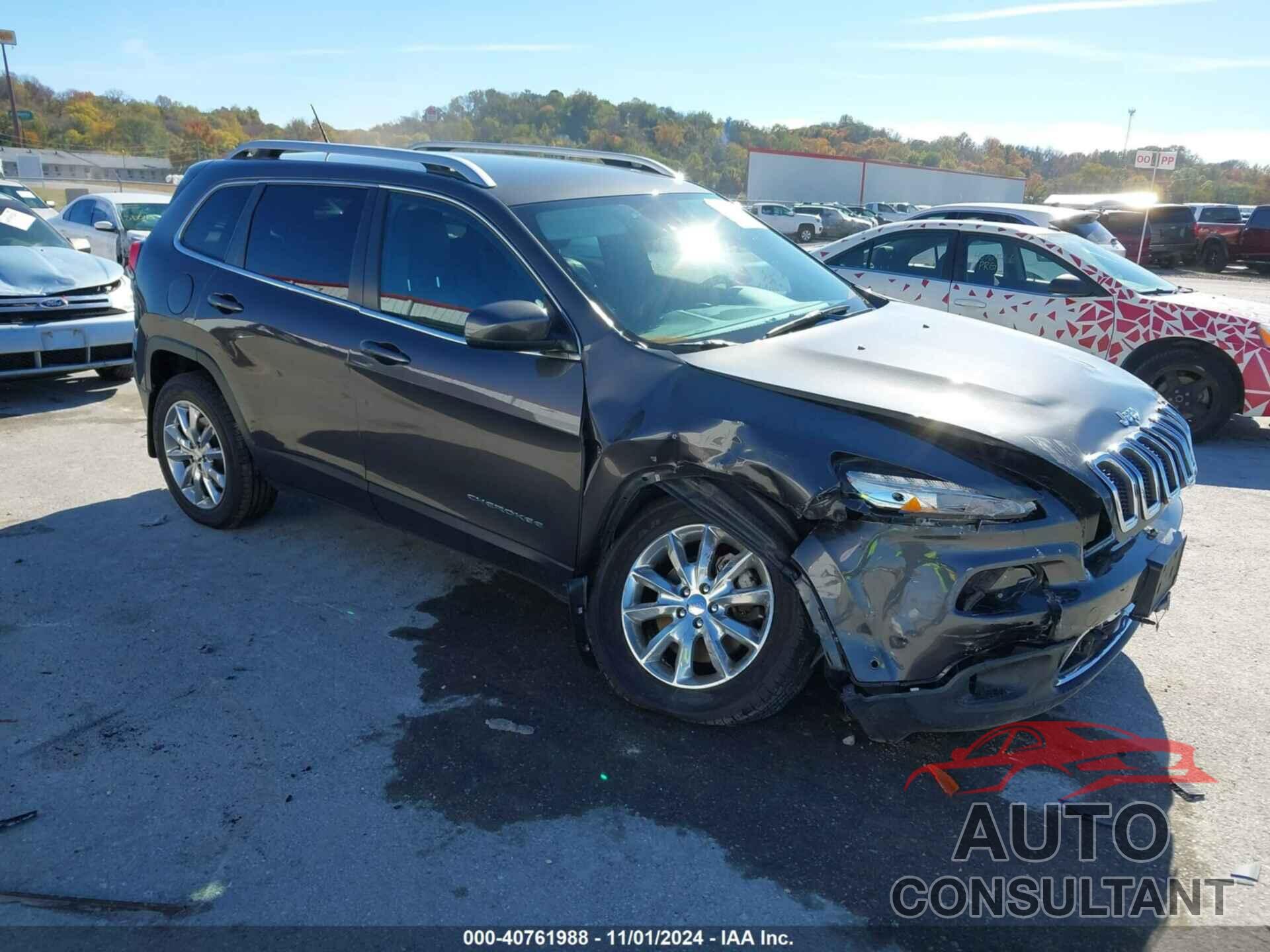 JEEP CHEROKEE 2014 - 1C4PJMDS8EW209957