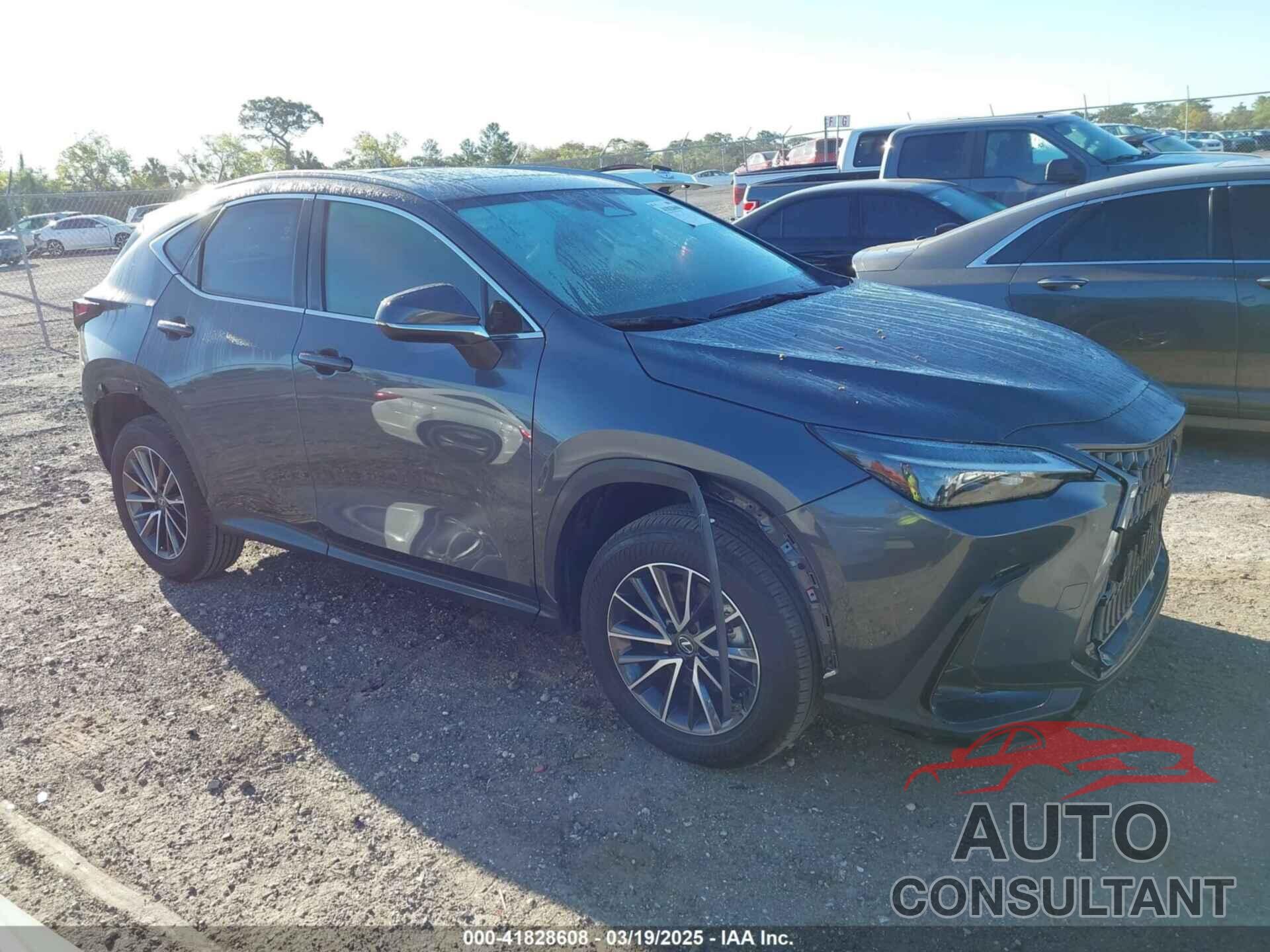 LEXUS NX 250 2024 - JTJGDCAZXR5020805