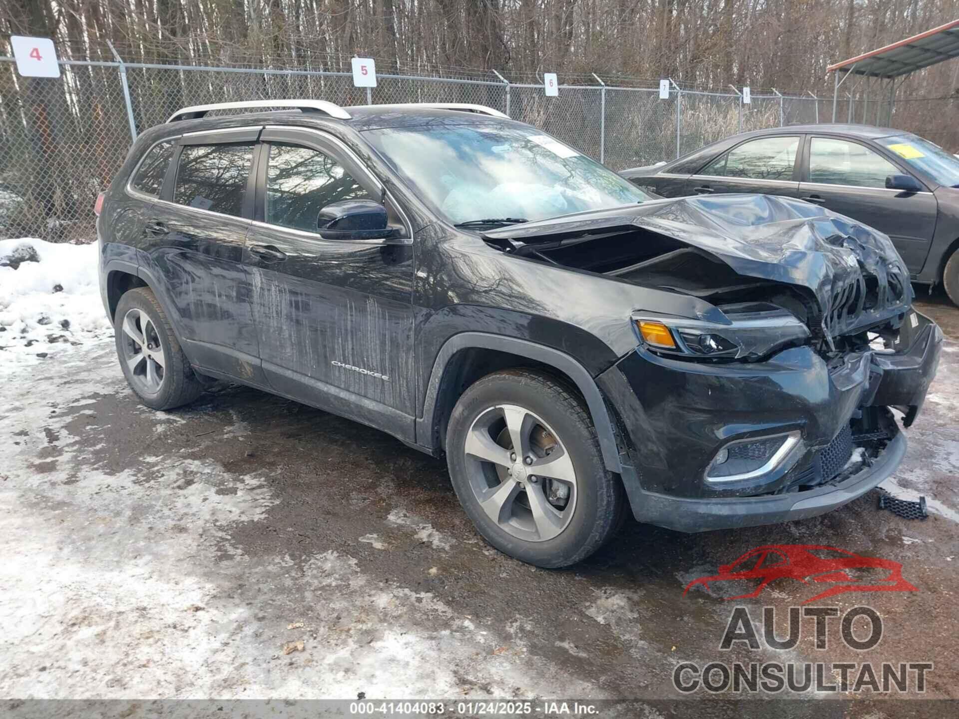 JEEP CHEROKEE 2019 - 1C4PJMDX4KD303952