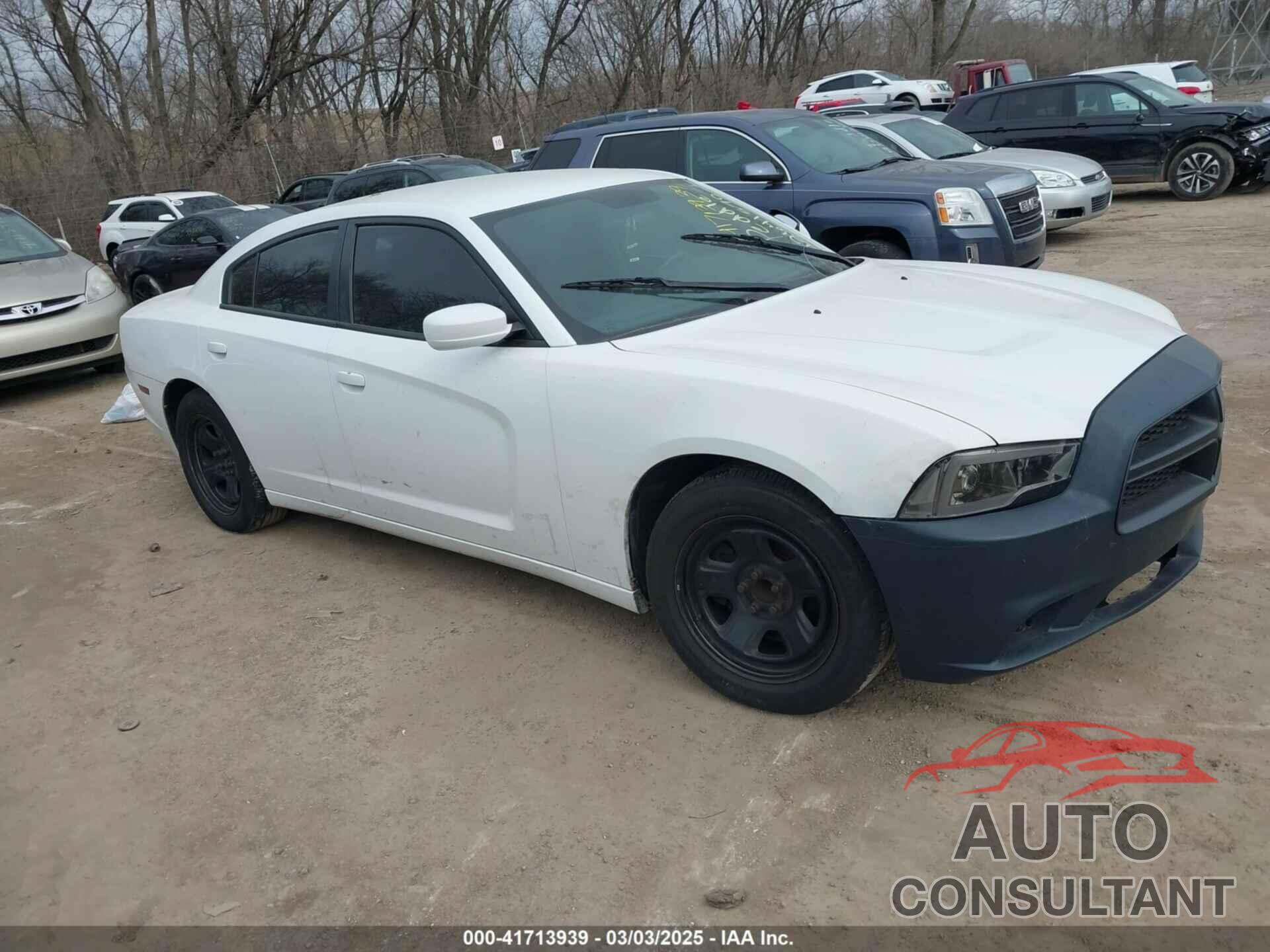 DODGE CHARGER 2013 - 2C3CDXAT4DH523529