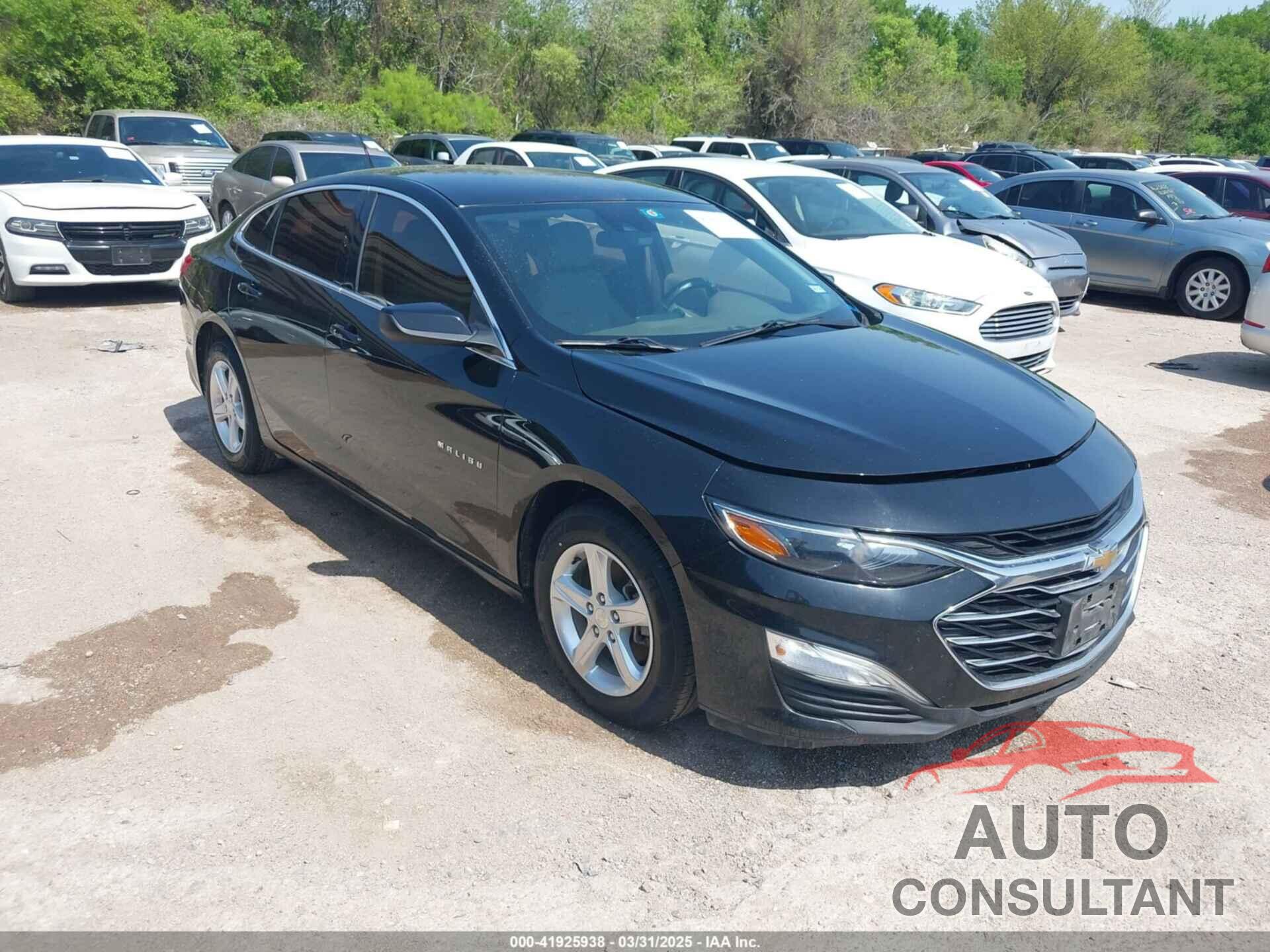 CHEVROLET MALIBU 2019 - 1G1ZC5ST9KF211953