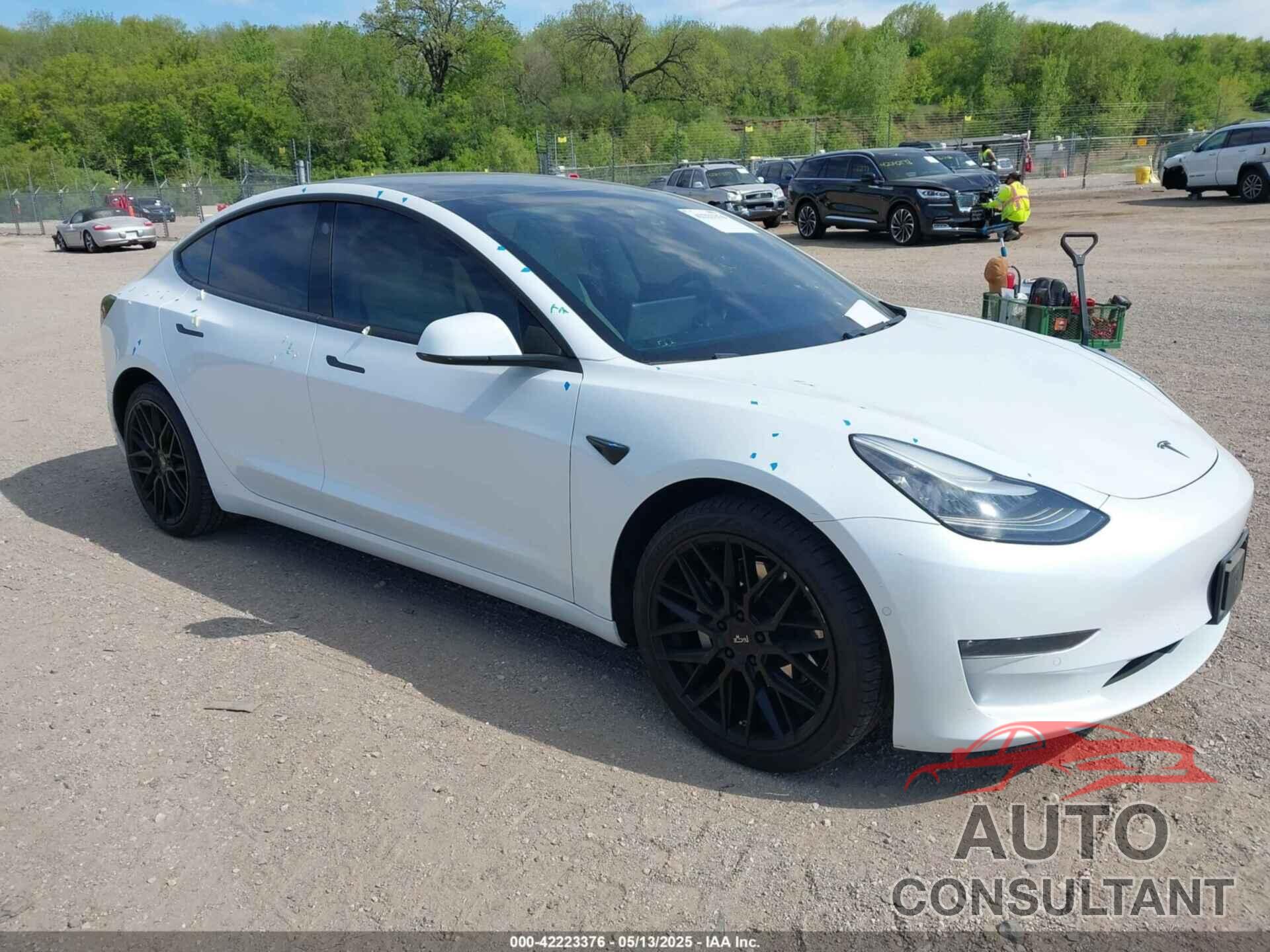 TESLA MODEL 3 2019 - 5YJ3E1EB4KF517787