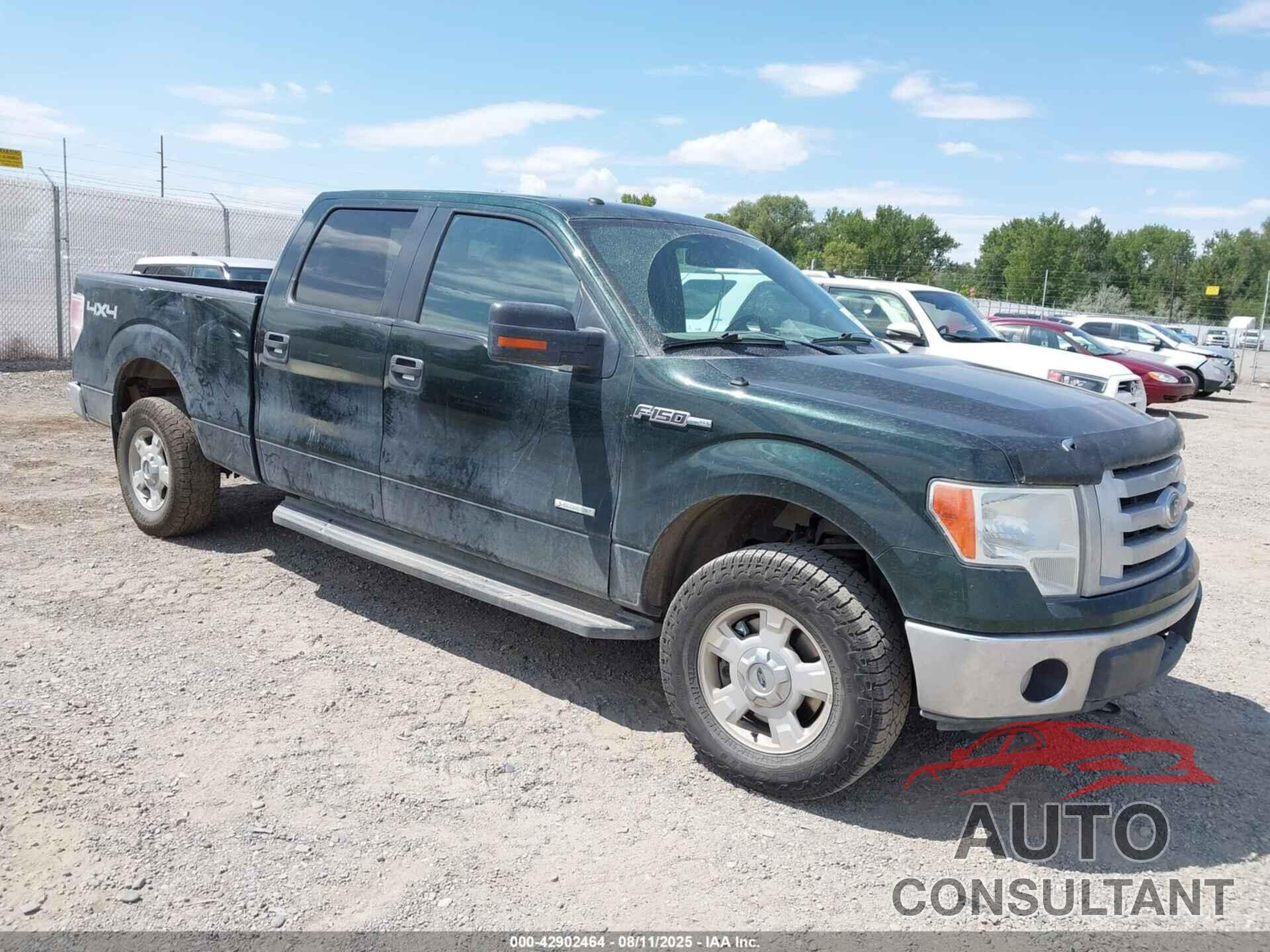 FORD F-150 2012 - 1FTFW1ET1CFB51822
