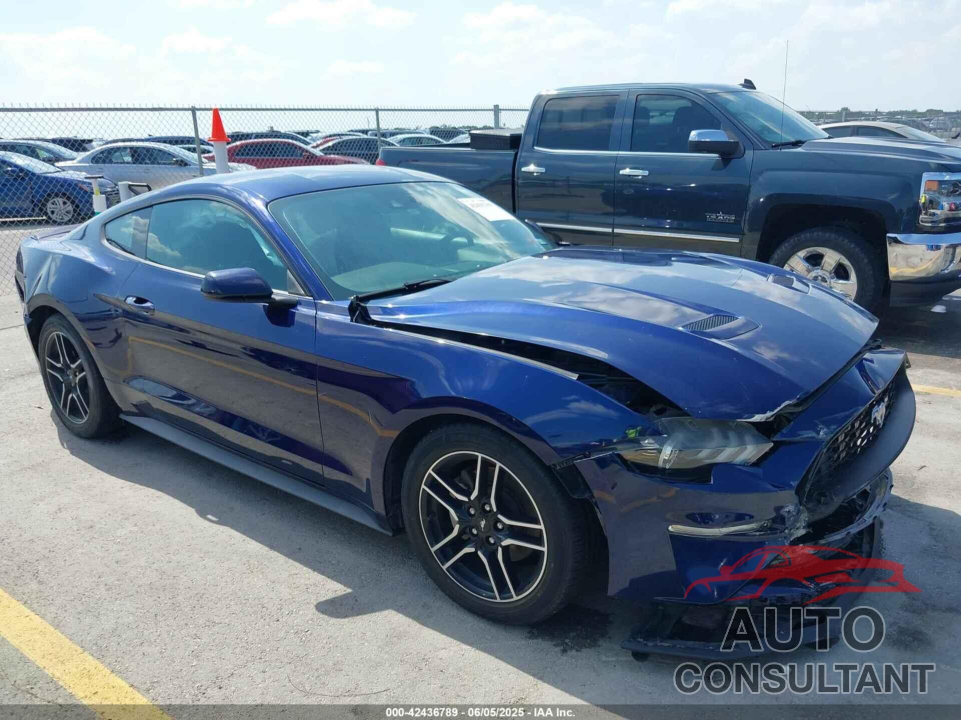 FORD MUSTANG 2019 - 1FA6P8TH8K5176621