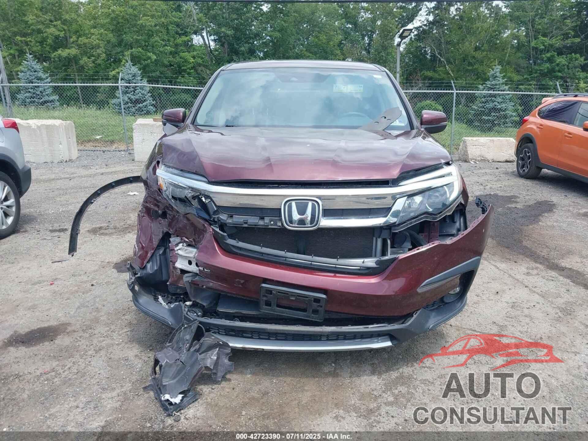 HONDA PILOT 2019 - 5FNYF6H36KB079911