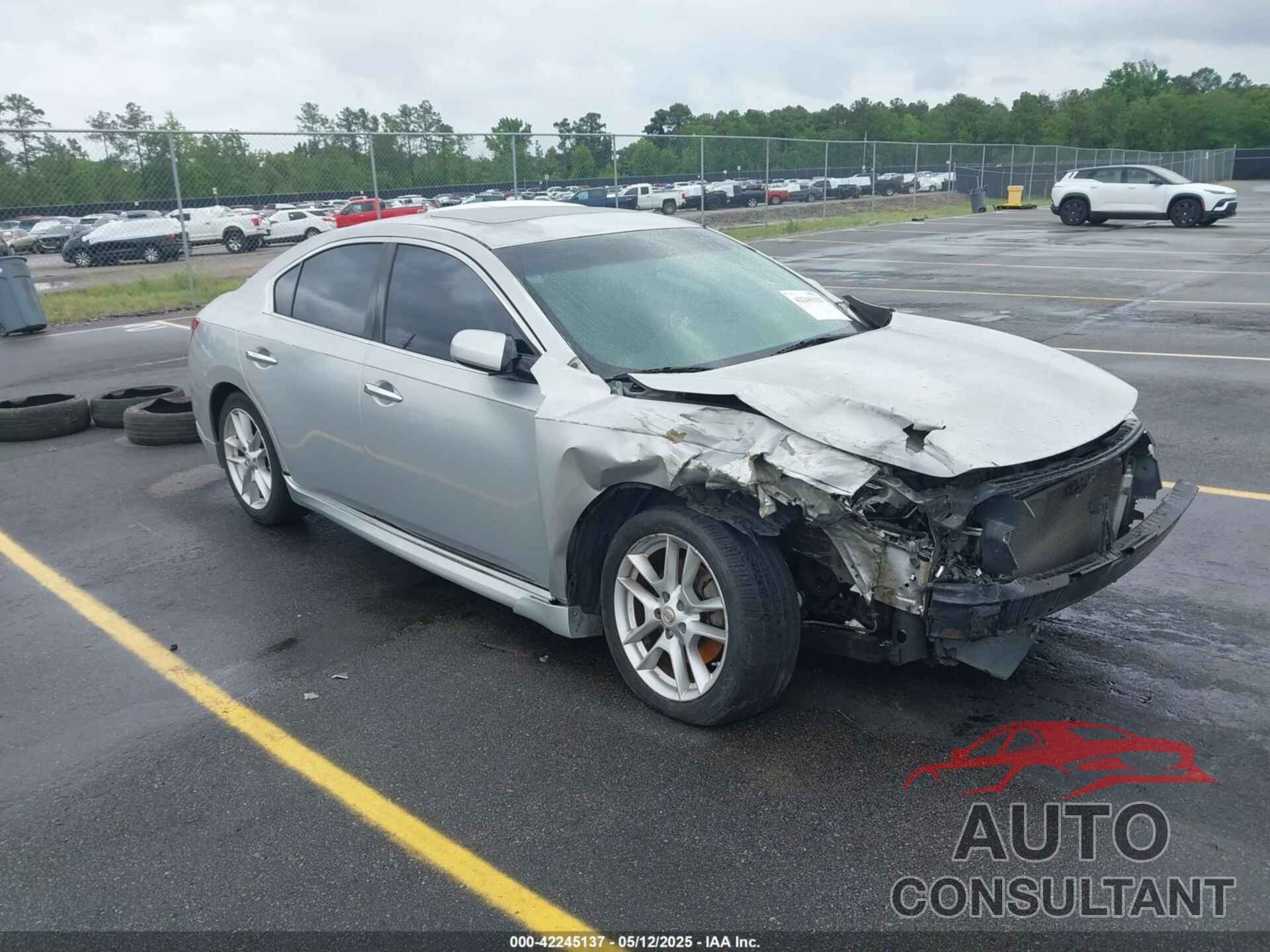 NISSAN MAXIMA 2009 - 1N4AA51E49C851485