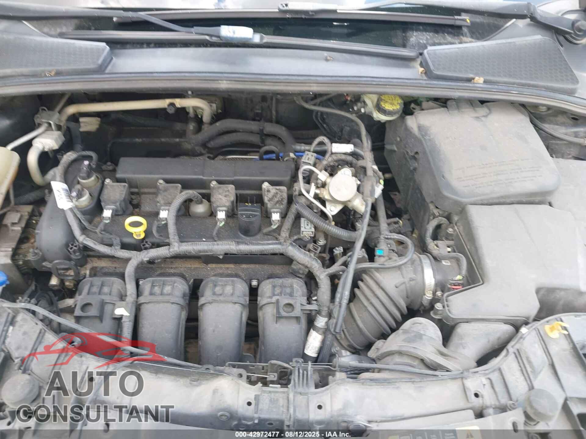 FORD FOCUS 2016 - 1FADP3E20GL318983