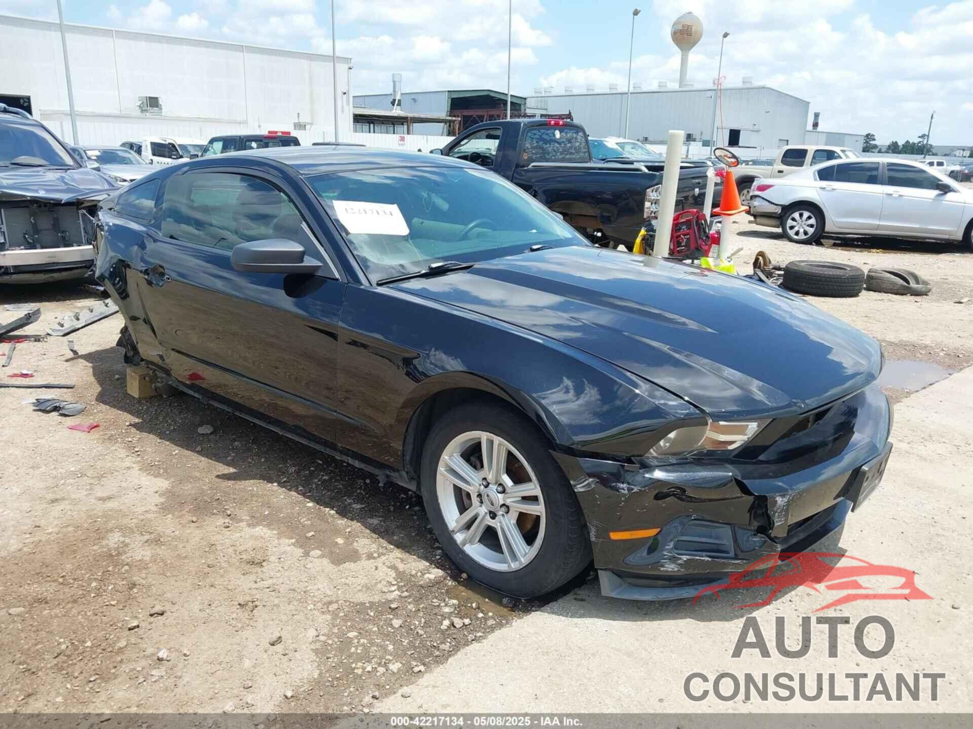 FORD MUSTANG 2010 - 1ZVBP8ANXA5176164