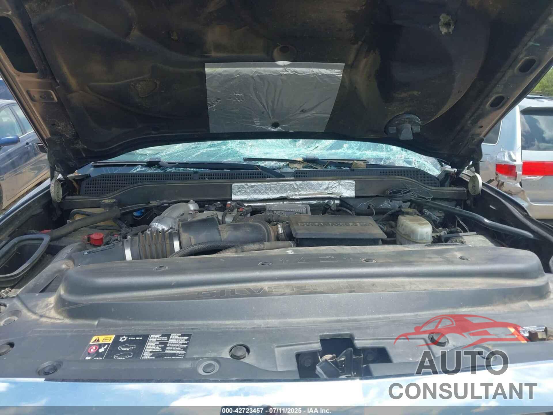 CHEVROLET SILVERADO 2500HD 2019 - 1GC1KTEY1KF230807