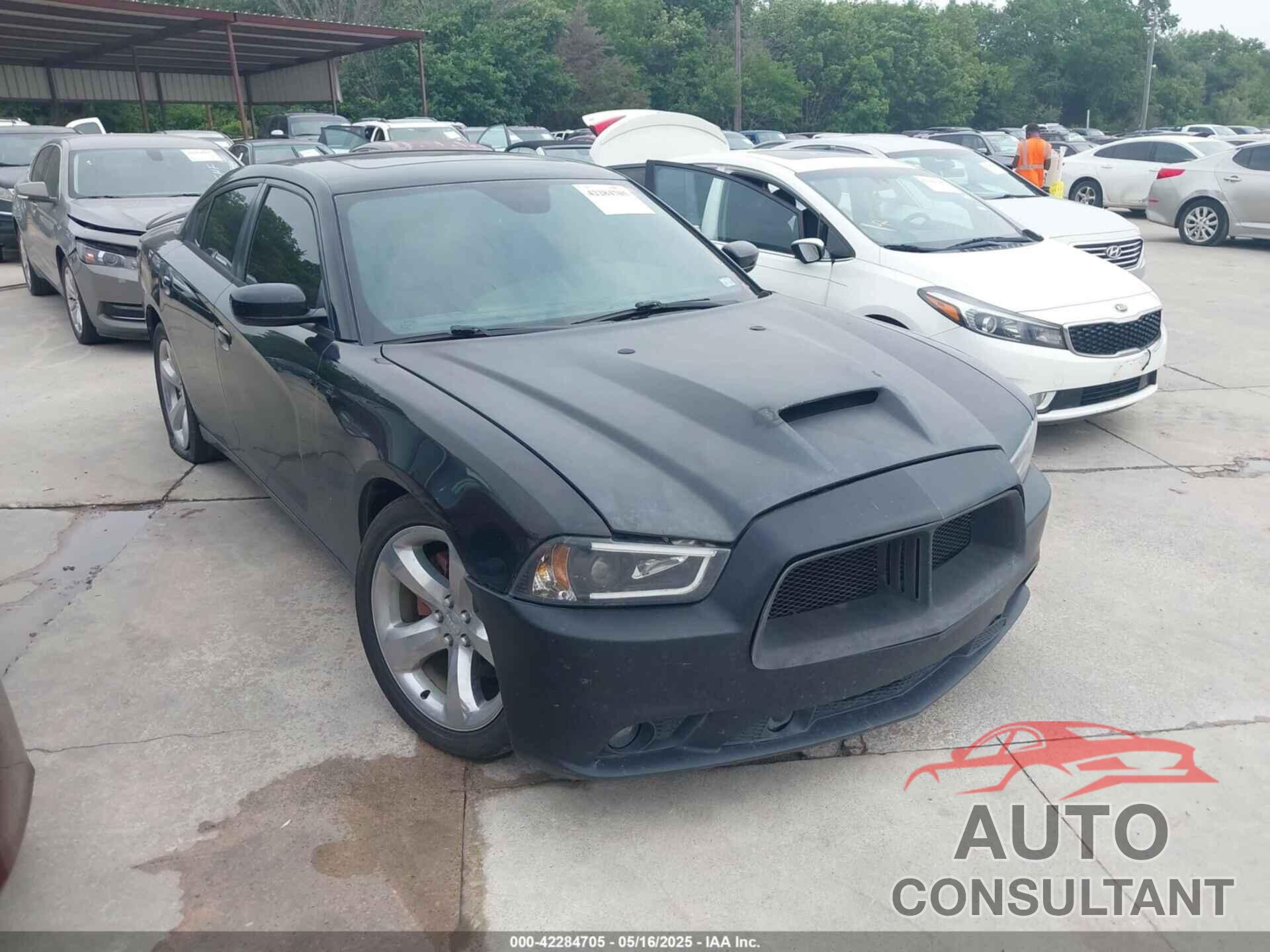 DODGE CHARGER 2014 - 2C3CDXCT2EH123810