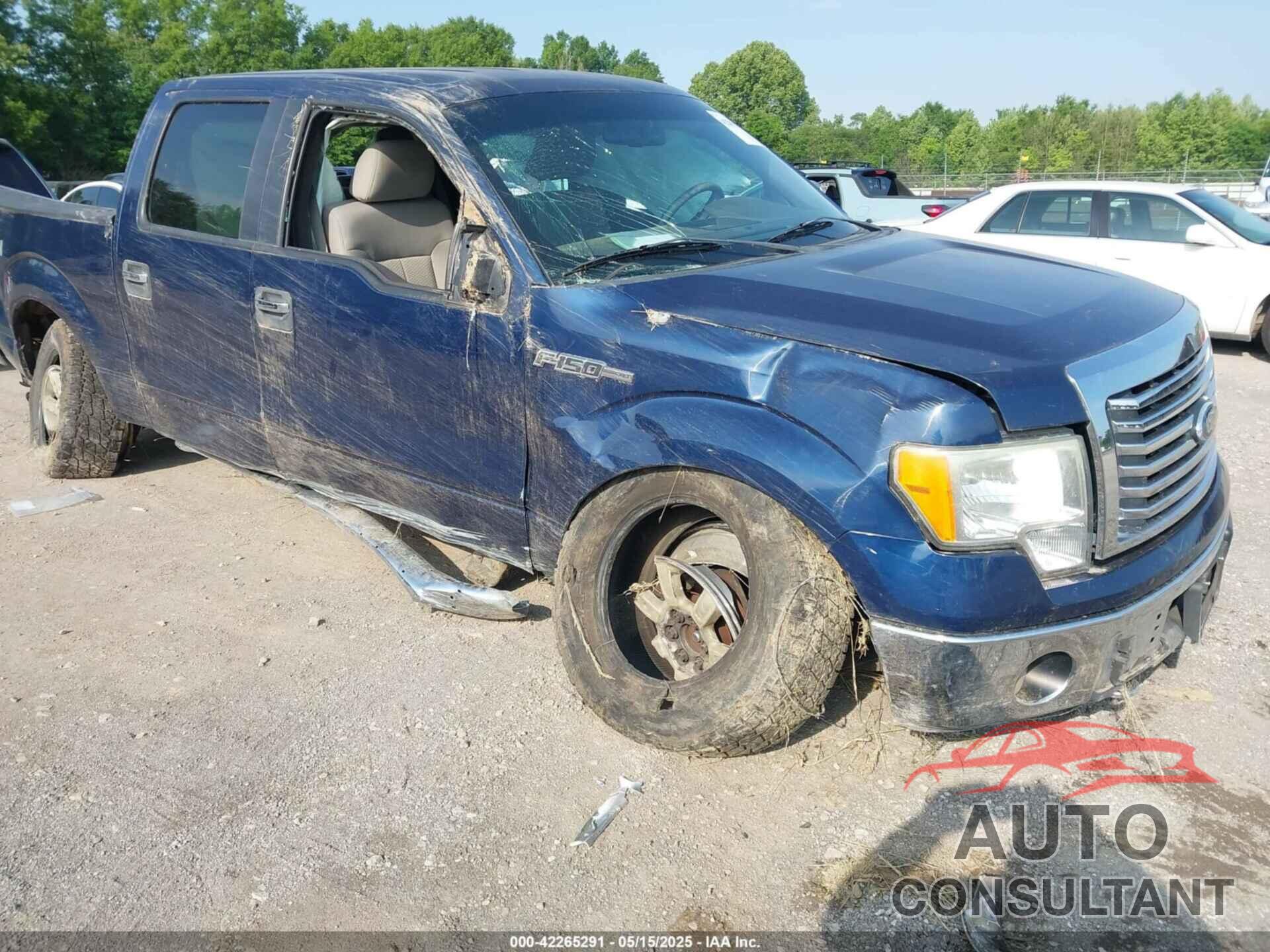 FORD F150 2010 - 1FTFW1EV2AFD41837