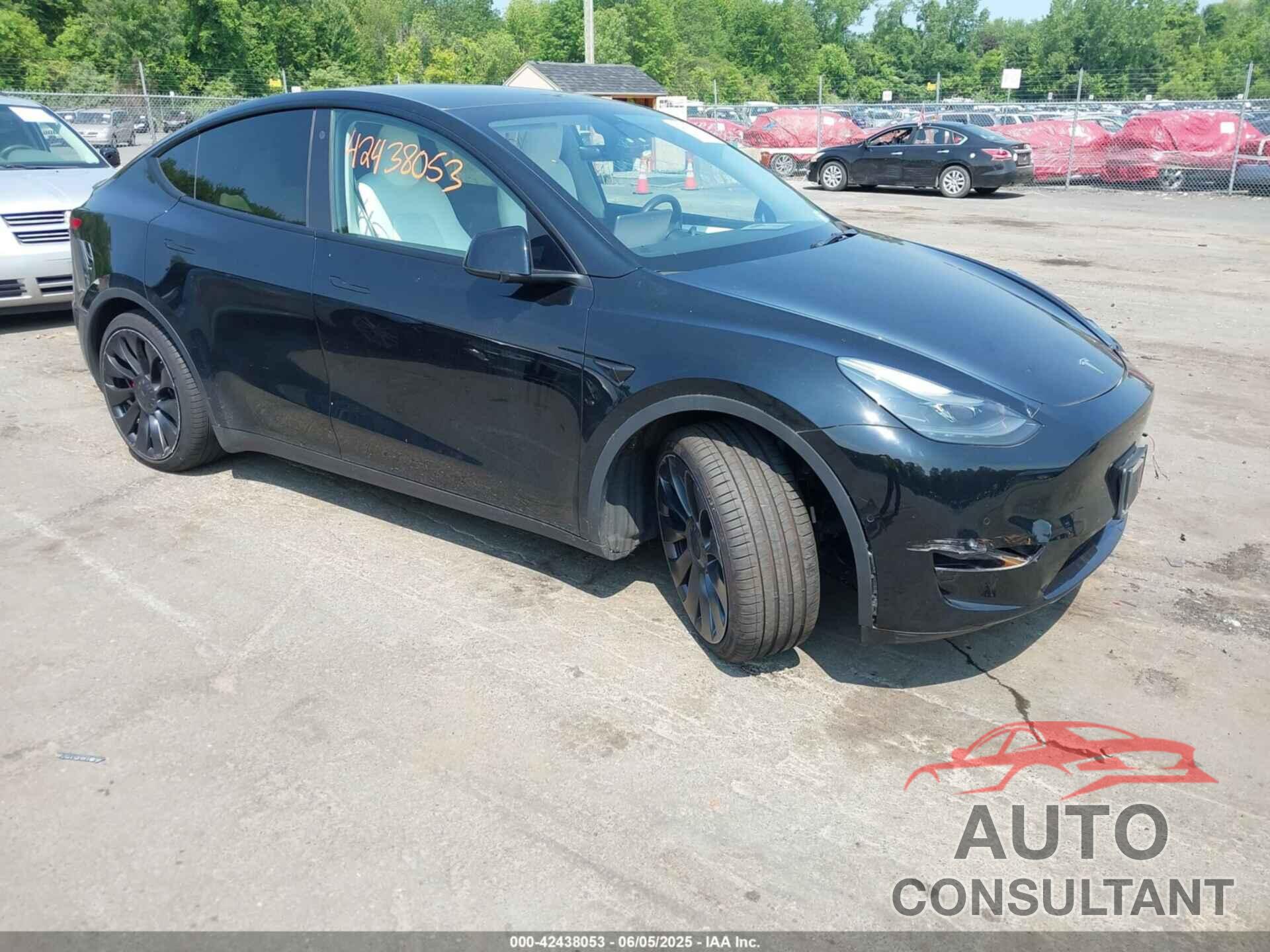 TESLA MODEL Y 2022 - 7SAYGDEF8NF564980