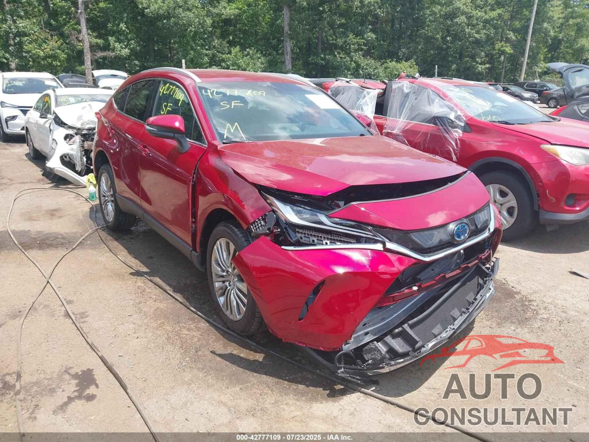 TOYOTA VENZA 2024 - JTEAAAAH3RJ164244