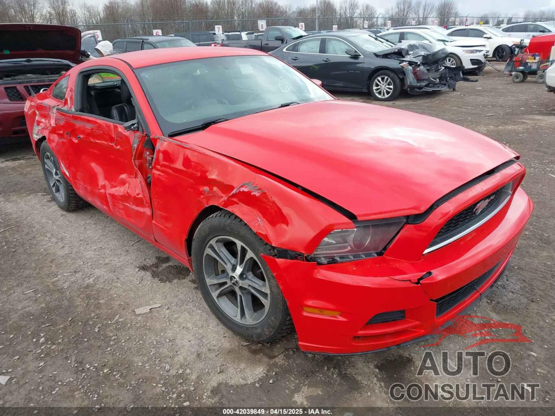 FORD MUSTANG 2014 - 1ZVBP8AMXE5271207