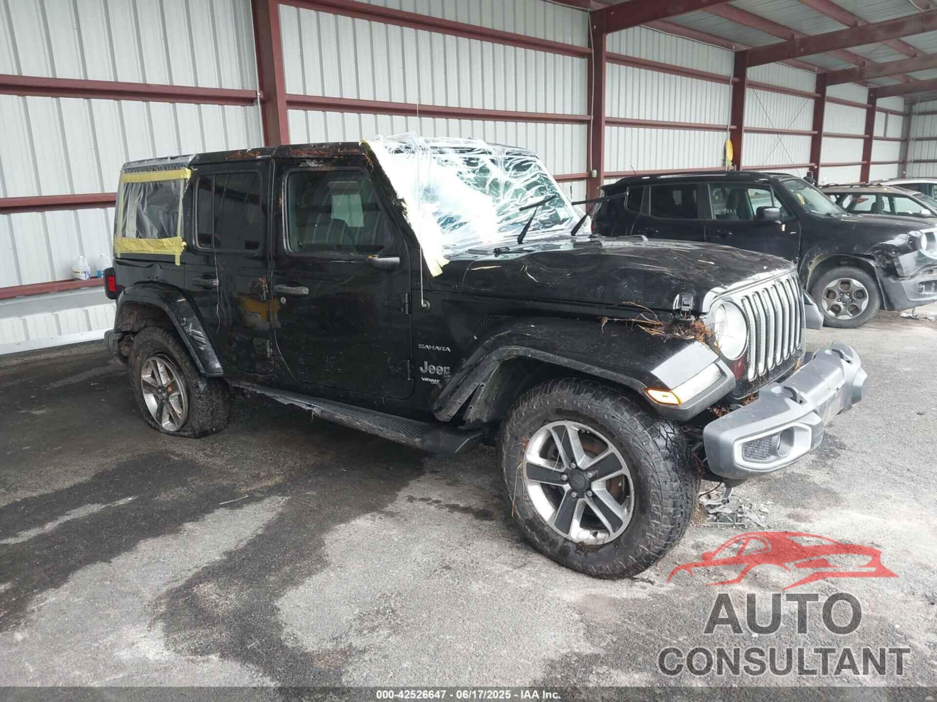 JEEP WRANGLER UNLIMITED 2019 - 1C4HJXEG5KW515140