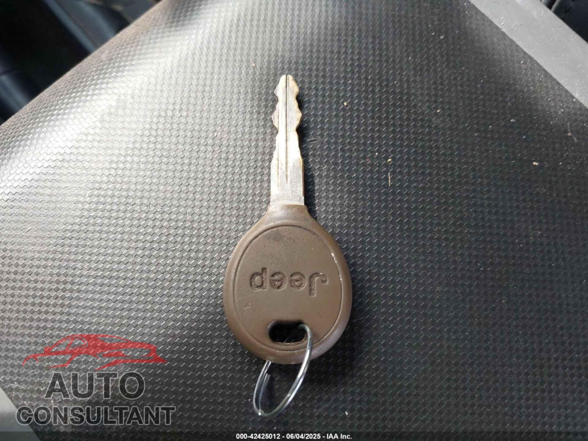 JEEP WRANGLER 2009 - 1J4FA24129L716085