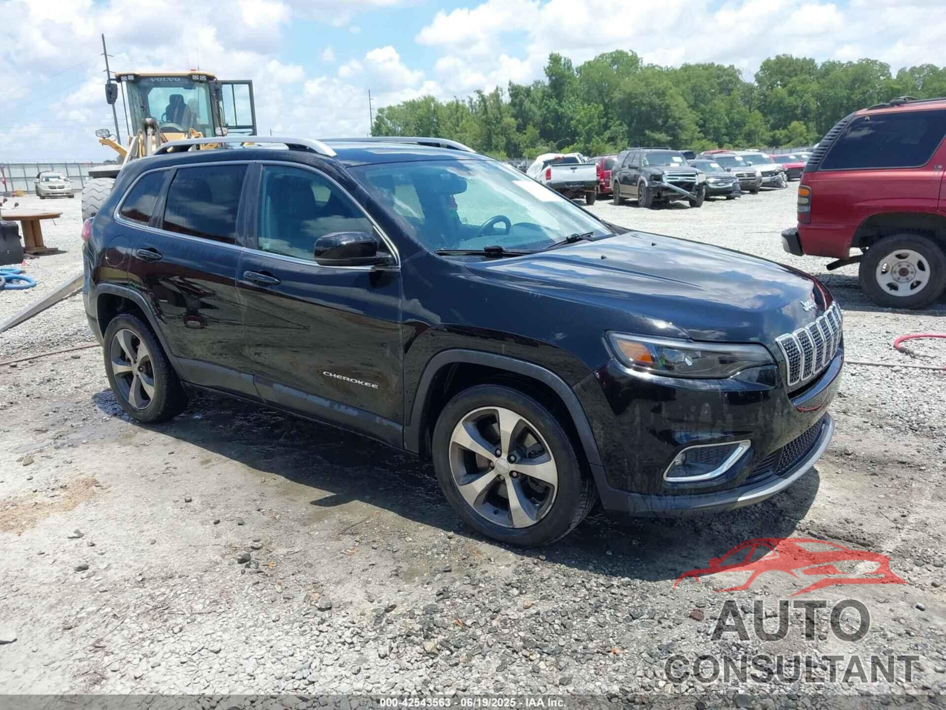 JEEP CHEROKEE 2019 - 1C4PJLDB1KD266115
