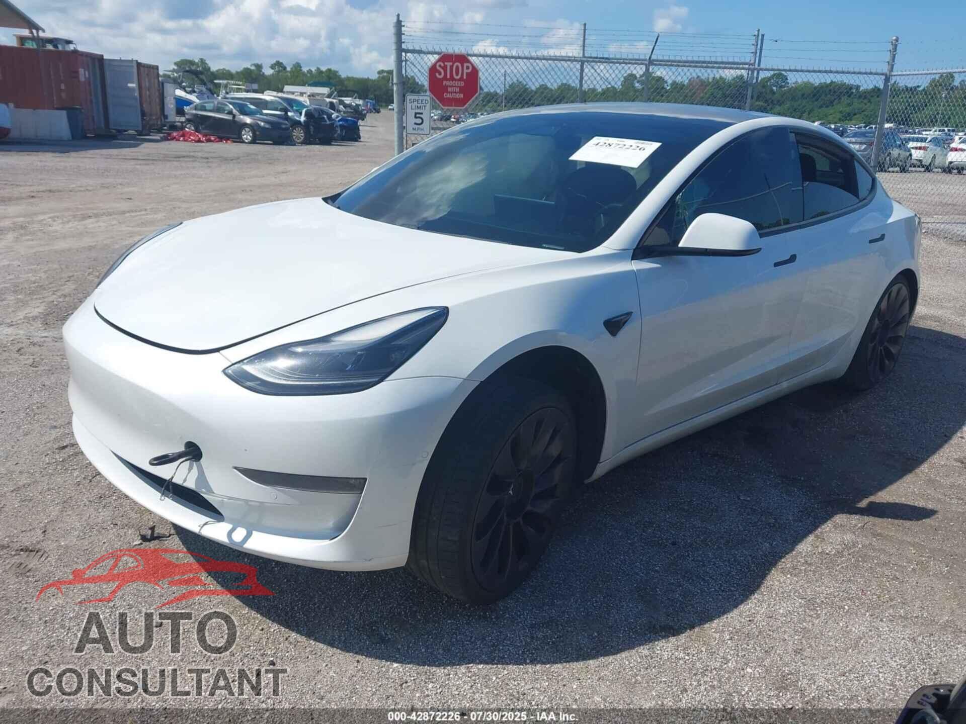 TESLA MODEL 3 2021 - 5YJ3E1EC3MF913592