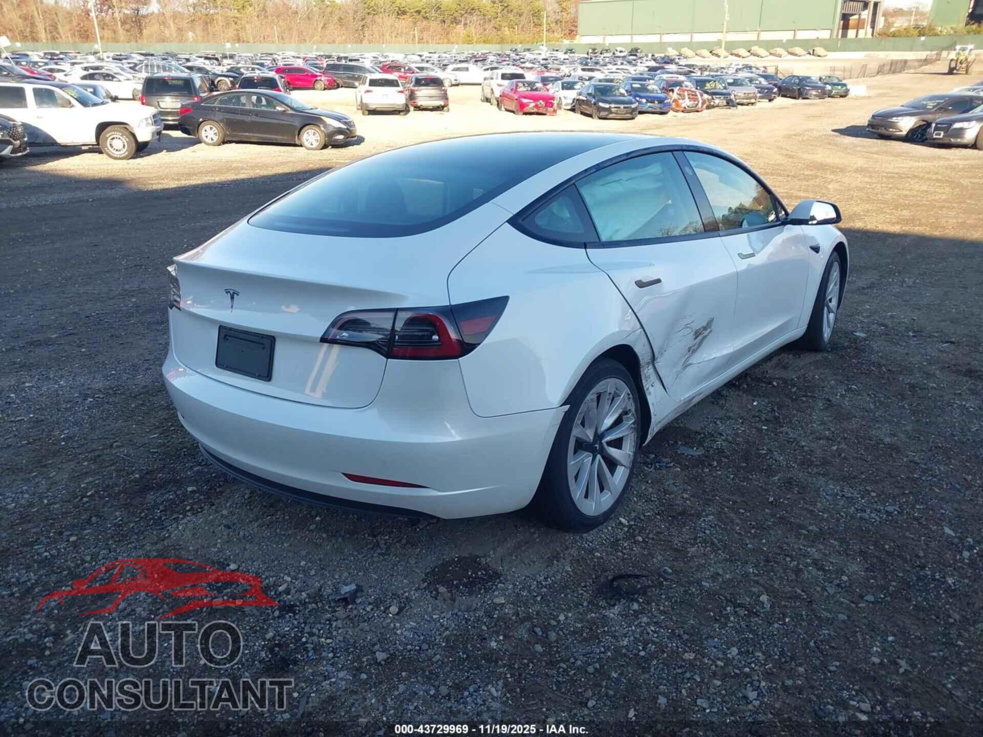 TESLA MODEL 3 2023 - 5YJ3E1EA1PF446739