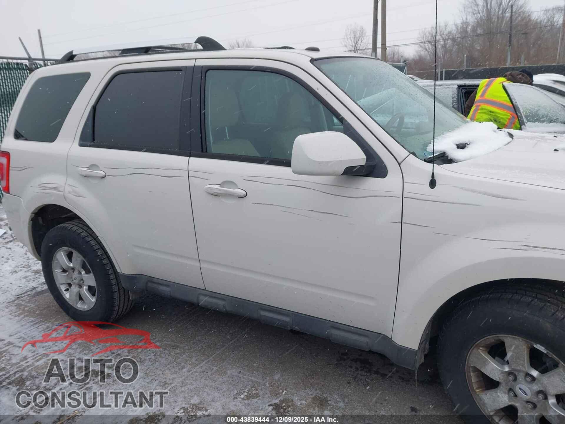 FORD ESCAPE 2010 - 1FMCU9E77AKB79635