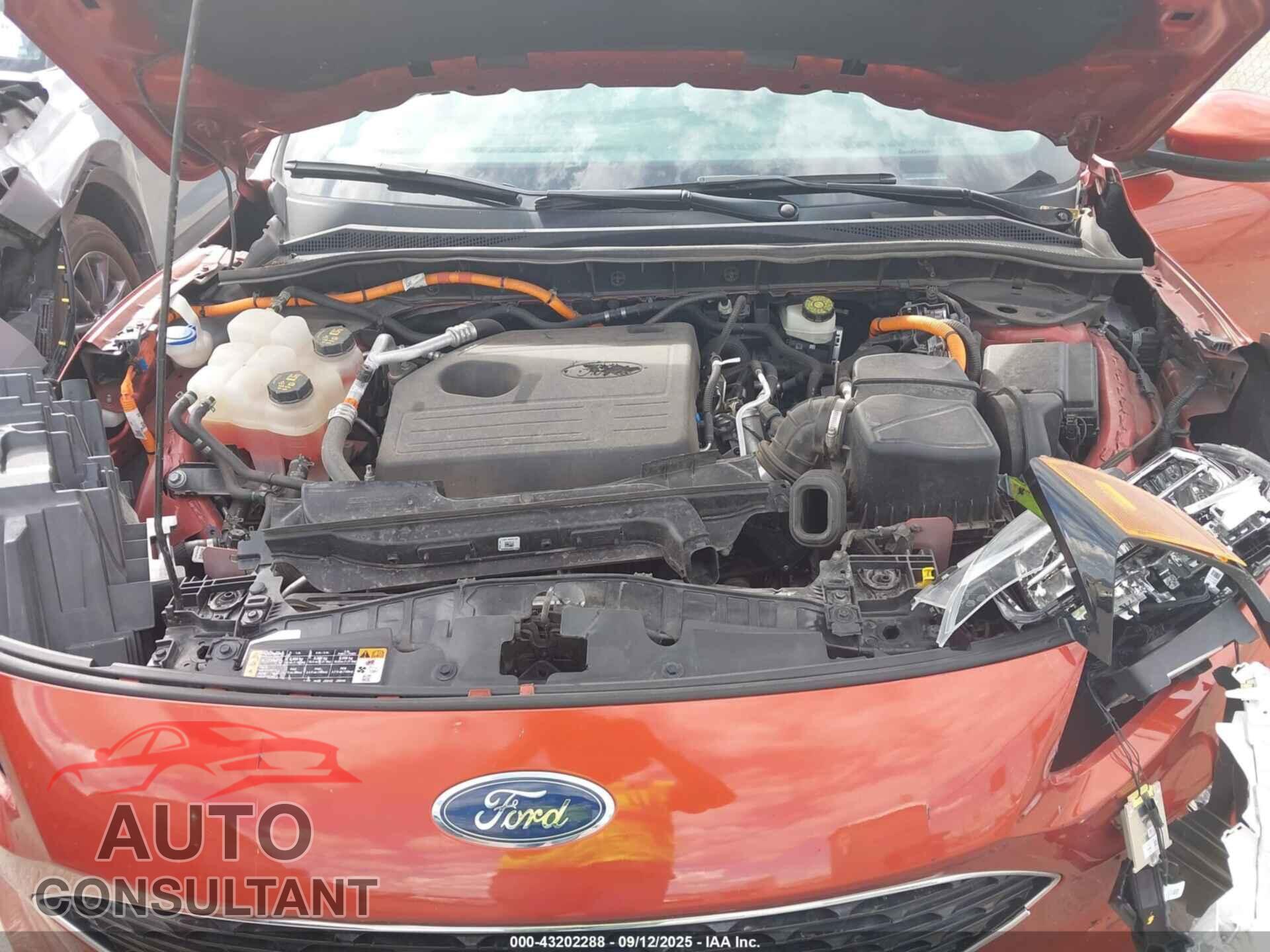 FORD ESCAPE 2020 - 1FMCU9DZ0LUA52185