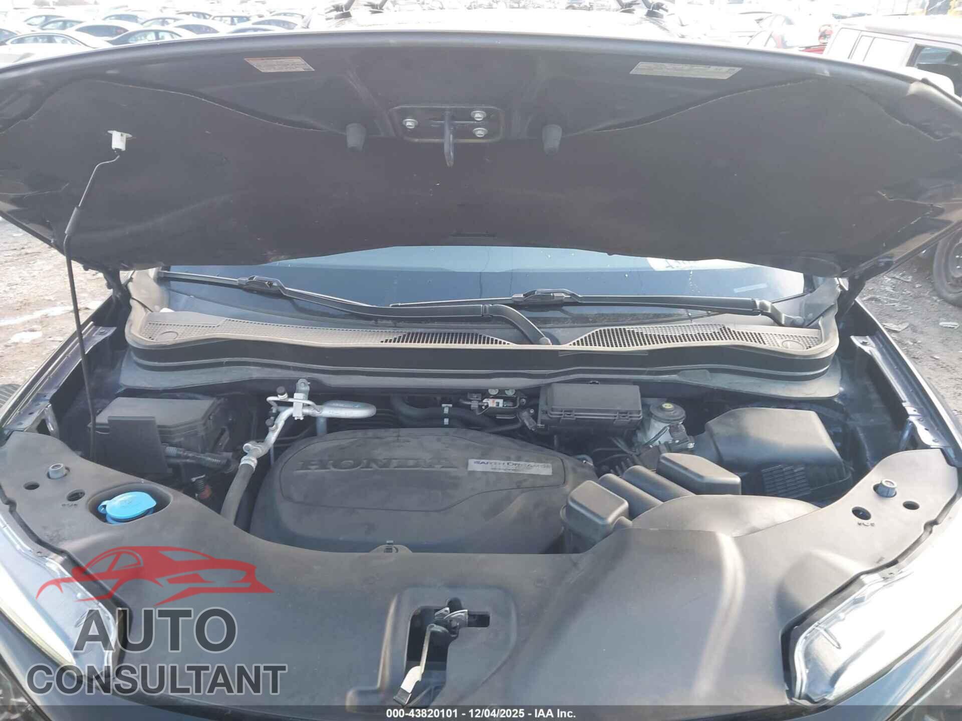 HONDA PASSPORT 2019 - 5FNYF8H21KB013169