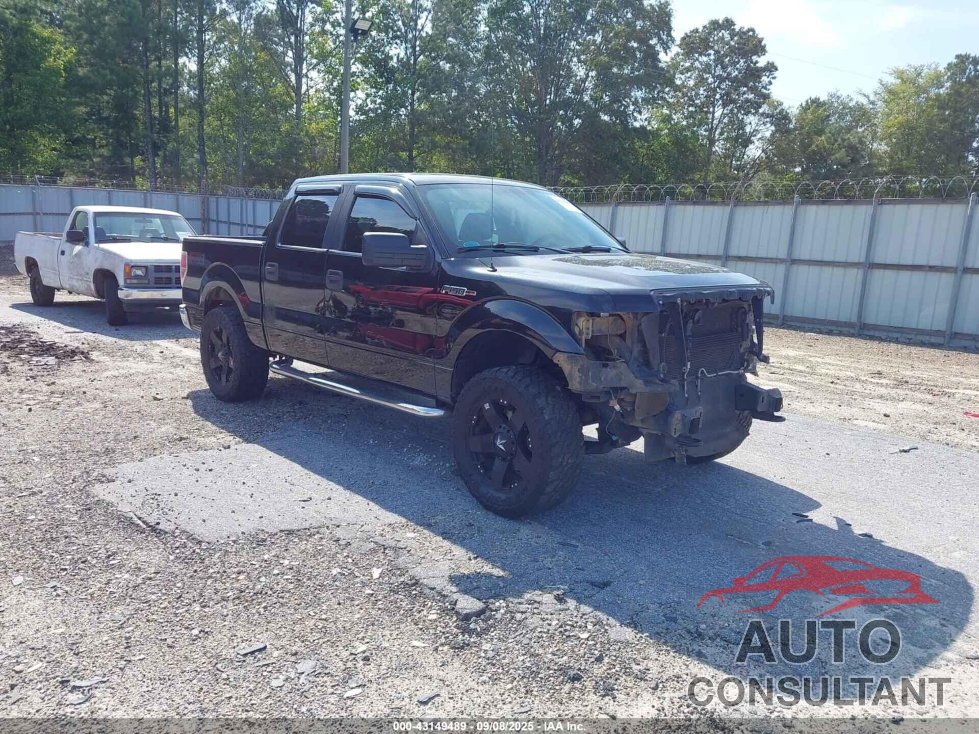 FORD F-150 2010 - 1FTEW1E83AFC75711