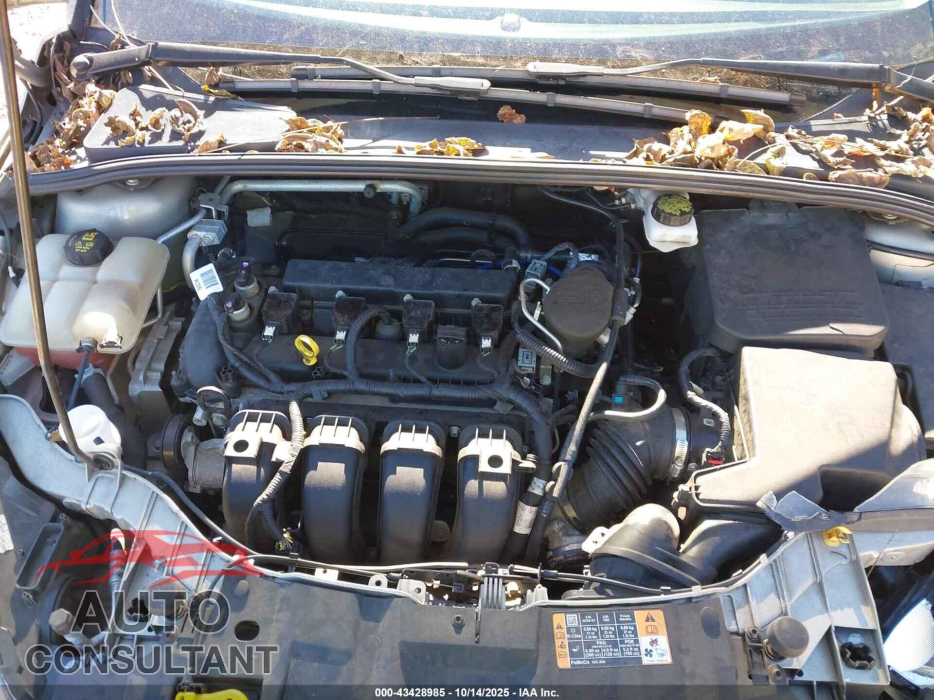 FORD FOCUS 2016 - 1FADP3F21GL296443