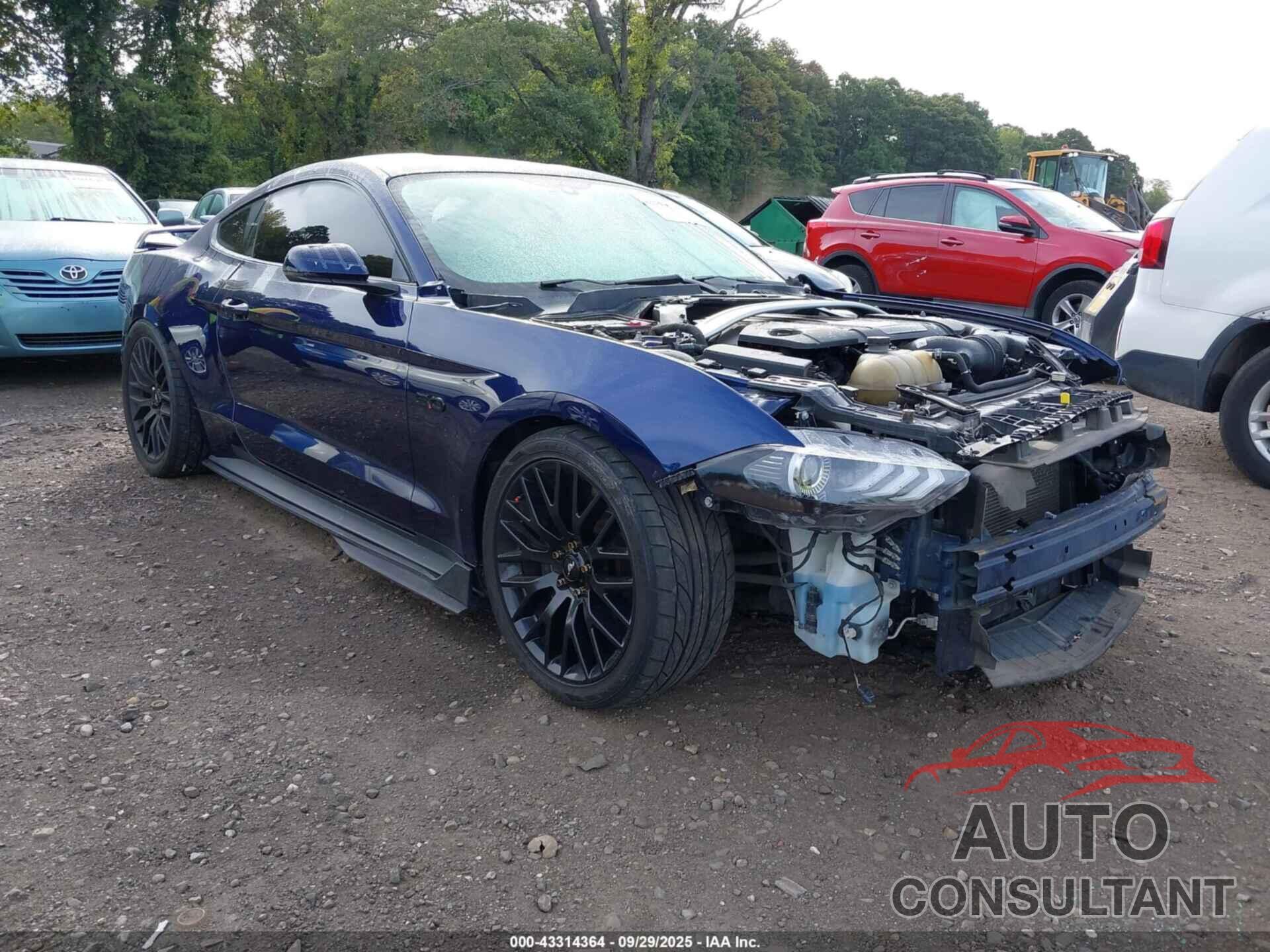 FORD MUSTANG 2019 - 1FA6P8CFXK5120629
