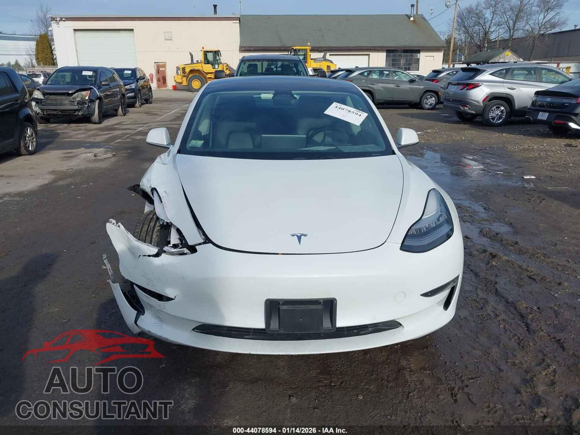 TESLA MODEL 3 2019 - 5YJ3E1EA2KF401205