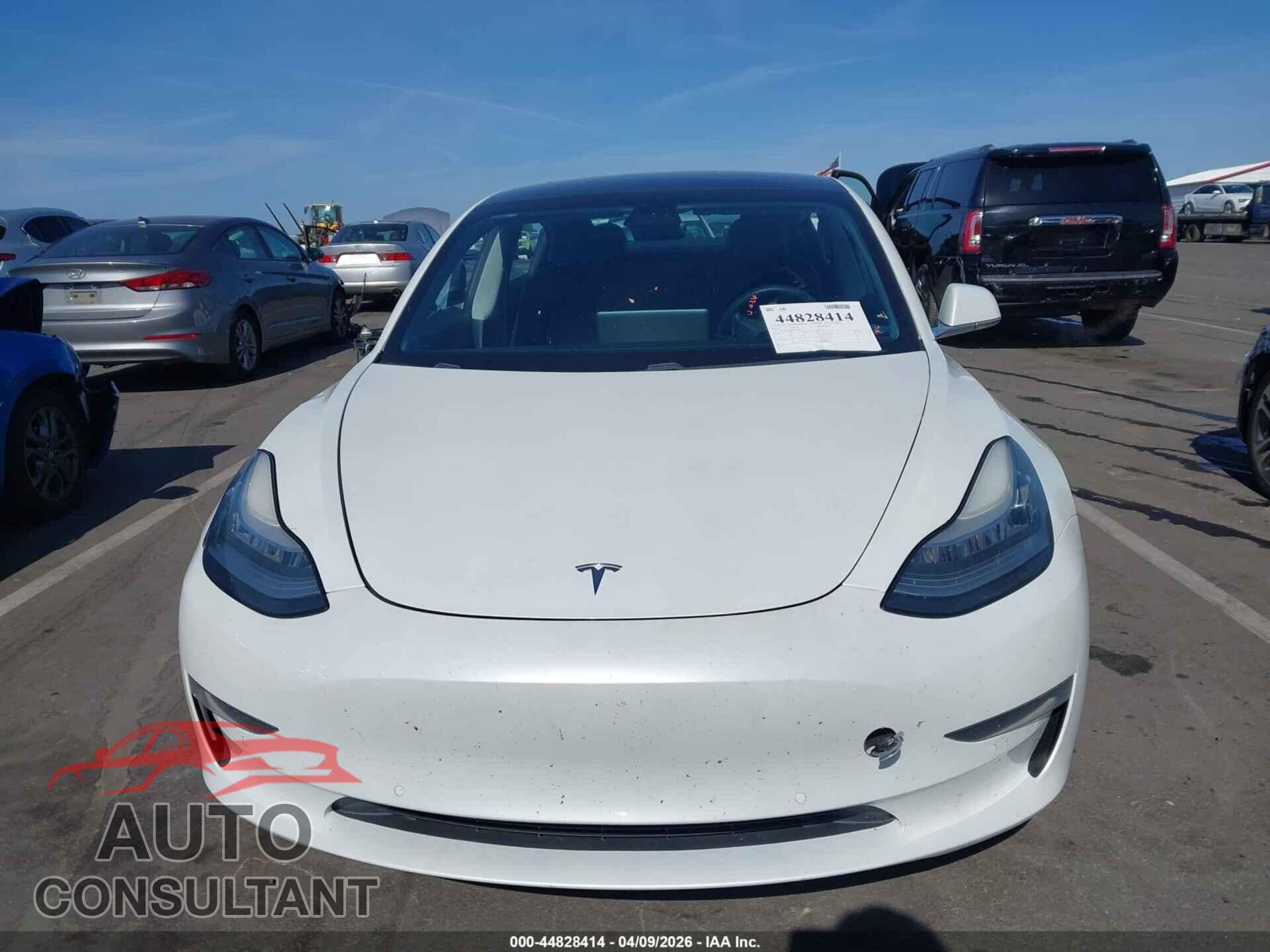 TESLA MODEL 3 2019 - 5YJ3E1EAXKF402506