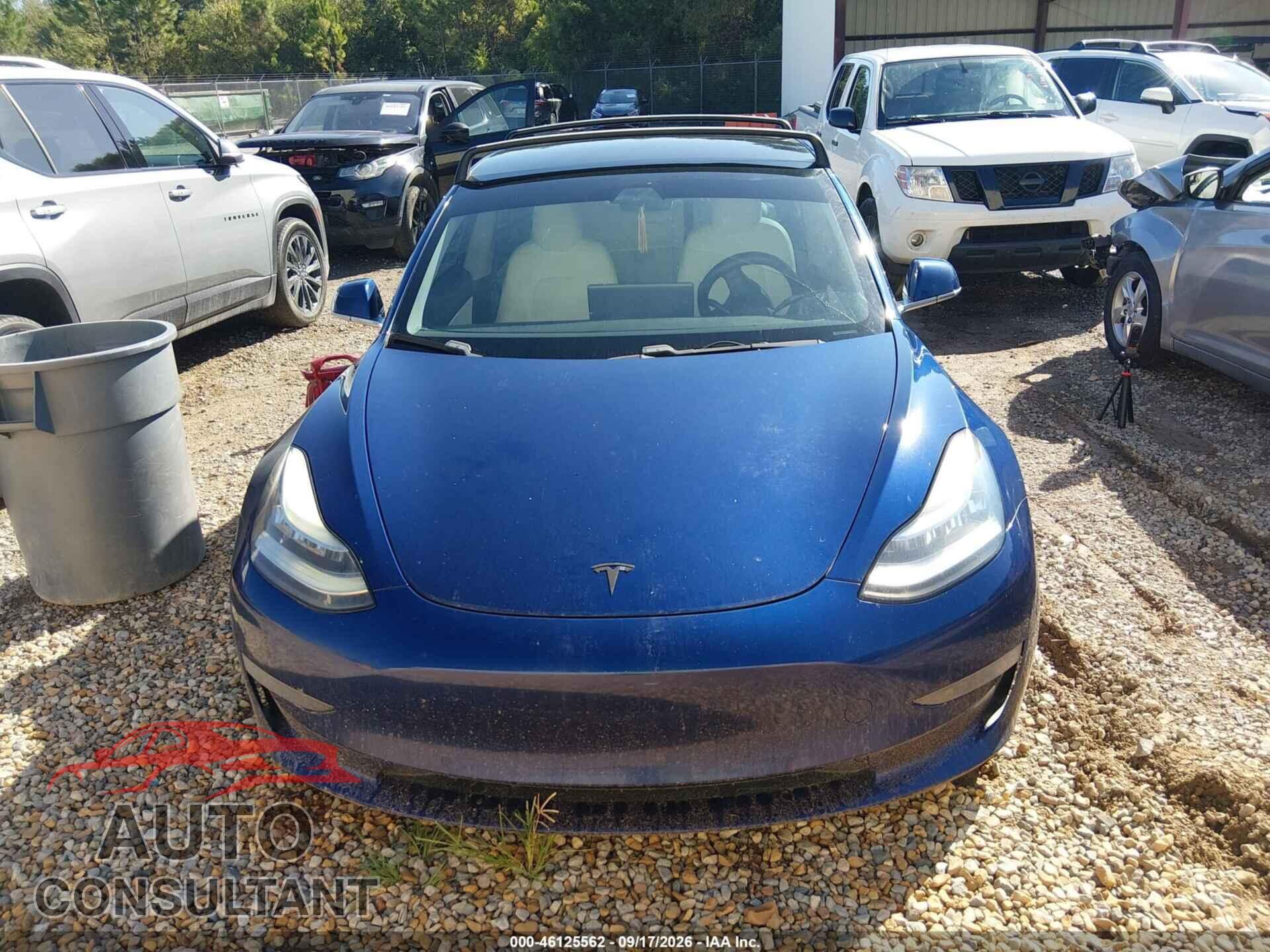 TESLA MODEL 3 2019 - 5YJ3E1EB3KF450549
