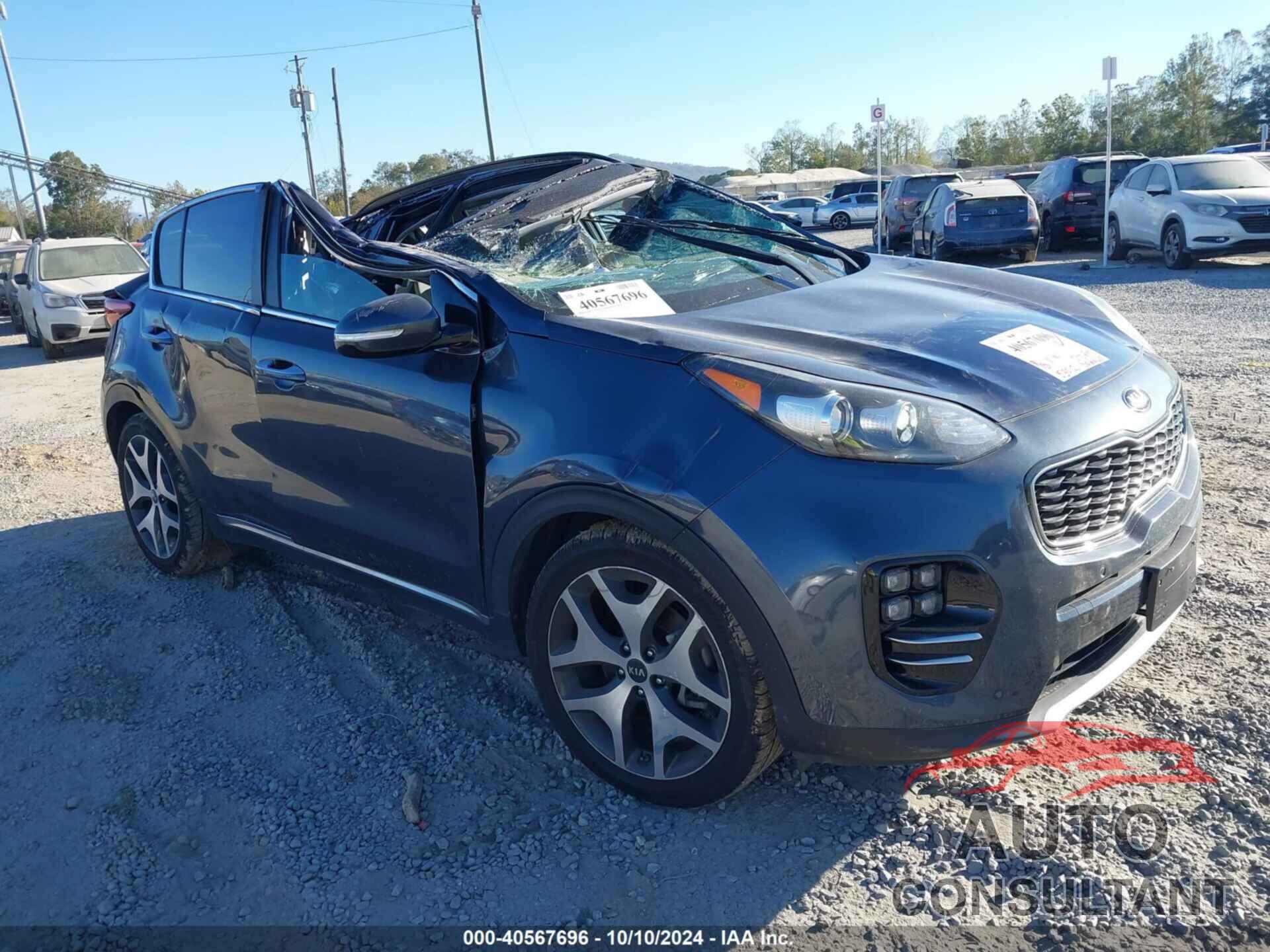 KIA SPORTAGE 2019 - KNDPR3A69K7553510