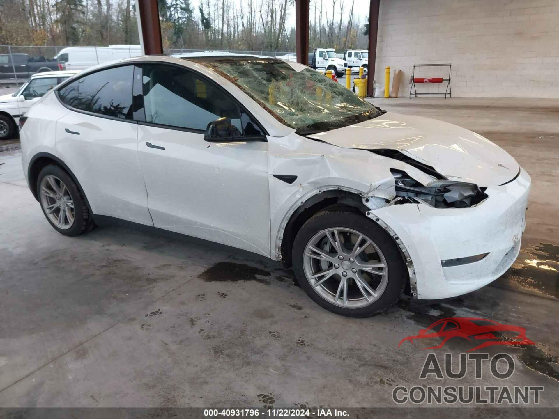 TESLA MODEL Y 2021 - 5YJYGDEE6MF117891