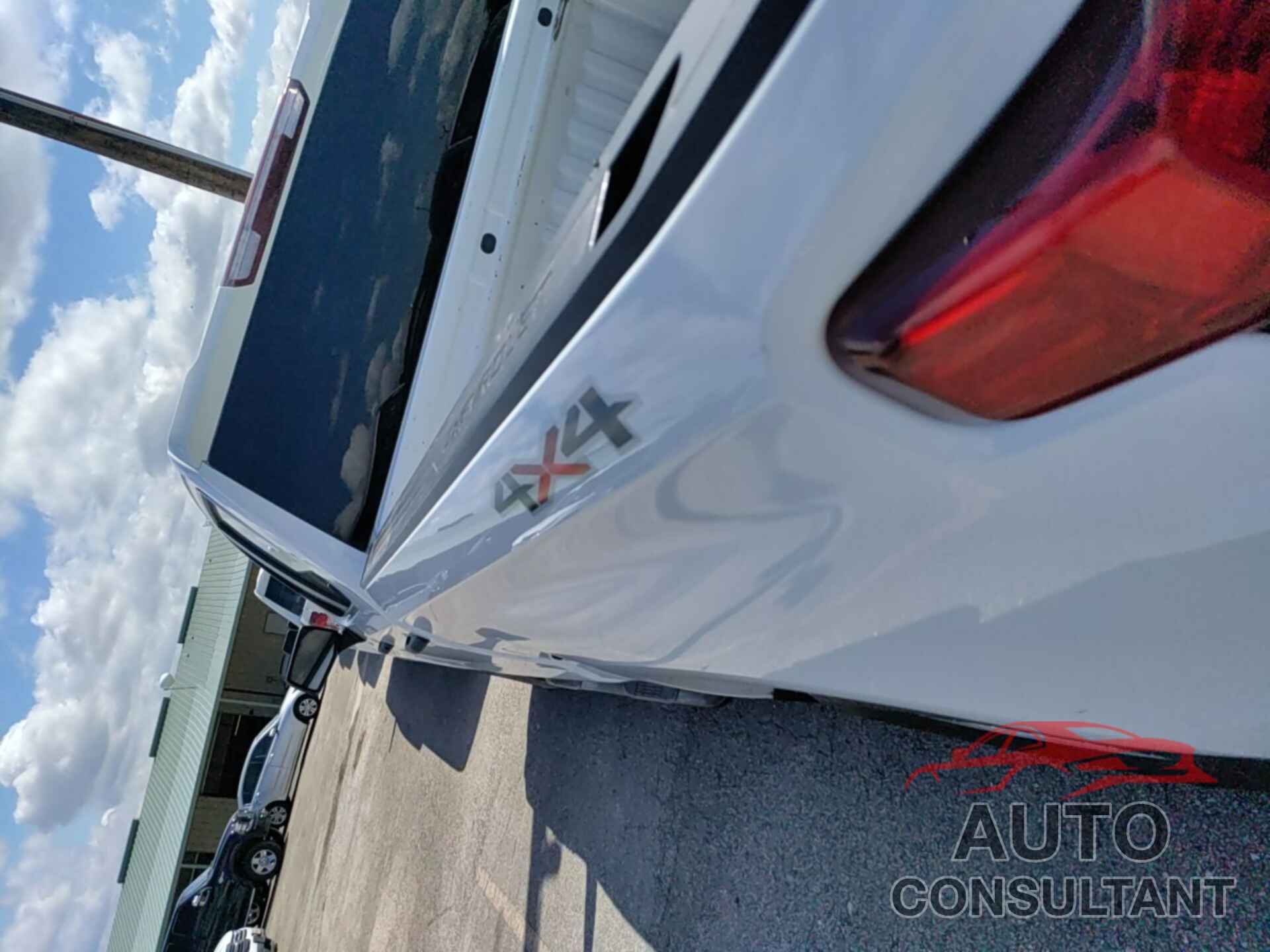 CHEVROLET SILVERADO 1500 2019 - 3GCUYAEF5KG242665